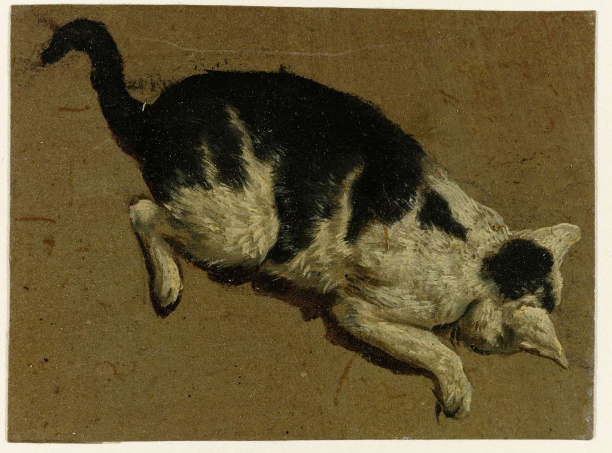 Cat looking down from an elevation, Adriaen van de Velde, 1646 - 1672