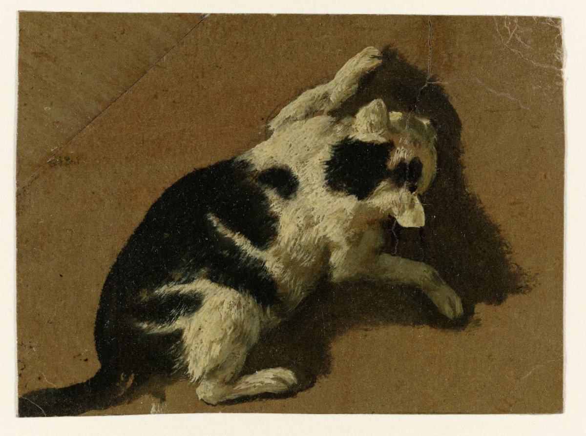 Cat playing near a wall, Adriaen van de Velde, 1646 - 1672