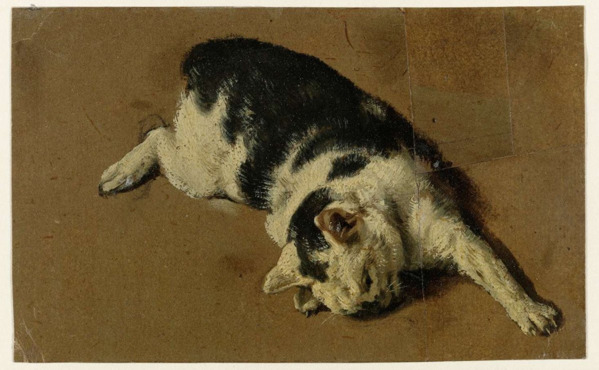 Cat lying on side, left foreleg extended, Adriaen van de Velde, 1646 - 1672