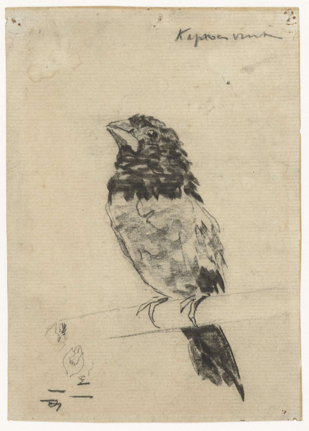 Hooded finch on a twig, Gerrit Willem Dijsselhof, 1876 - 1924