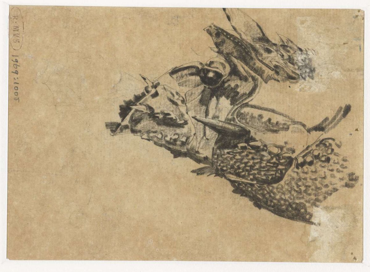 Head of an iguana, Gerrit Willem Dijsselhof, 1876 - 1924