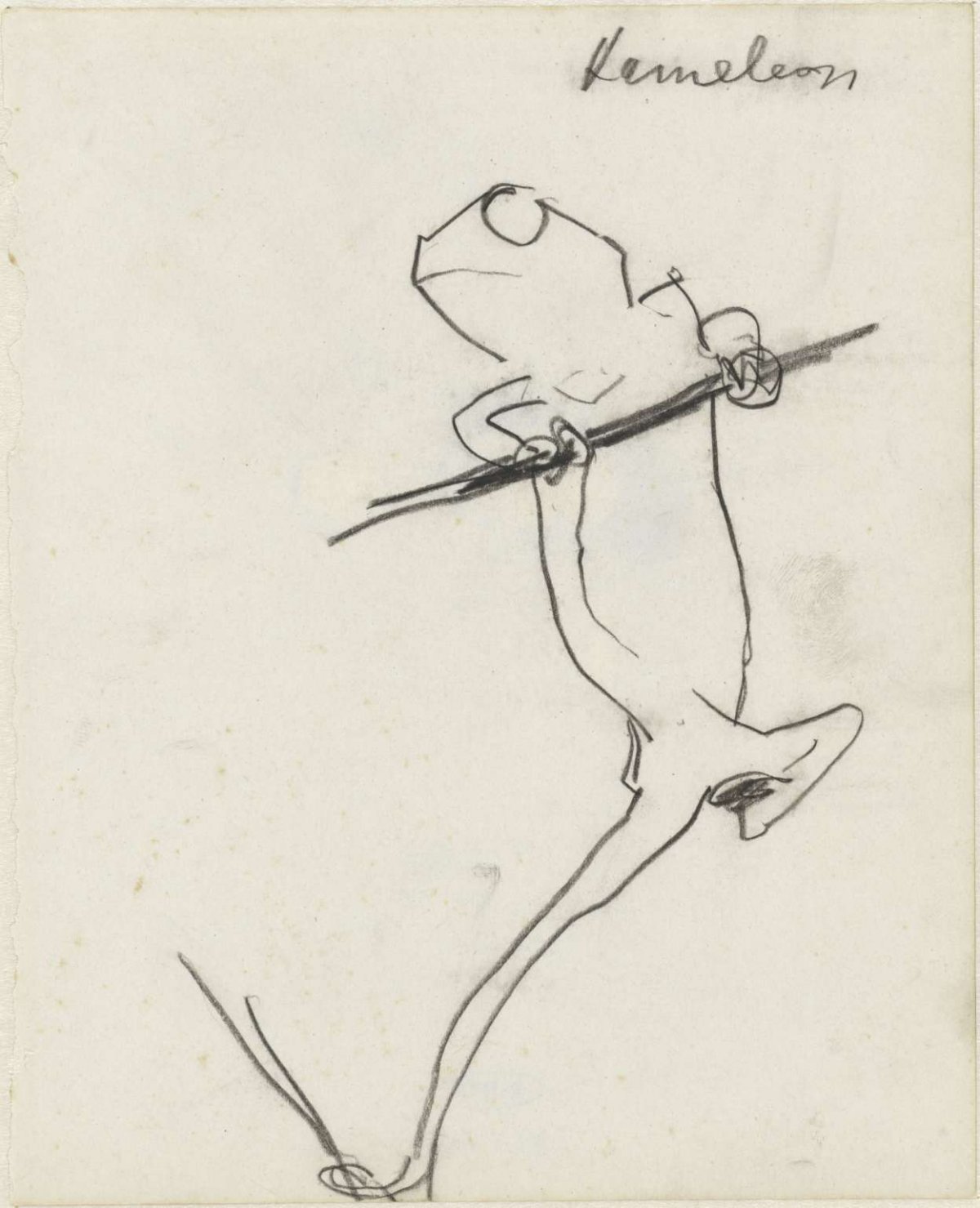 Kameleon, Theo Nieuwenhuis, 1876 - 1951