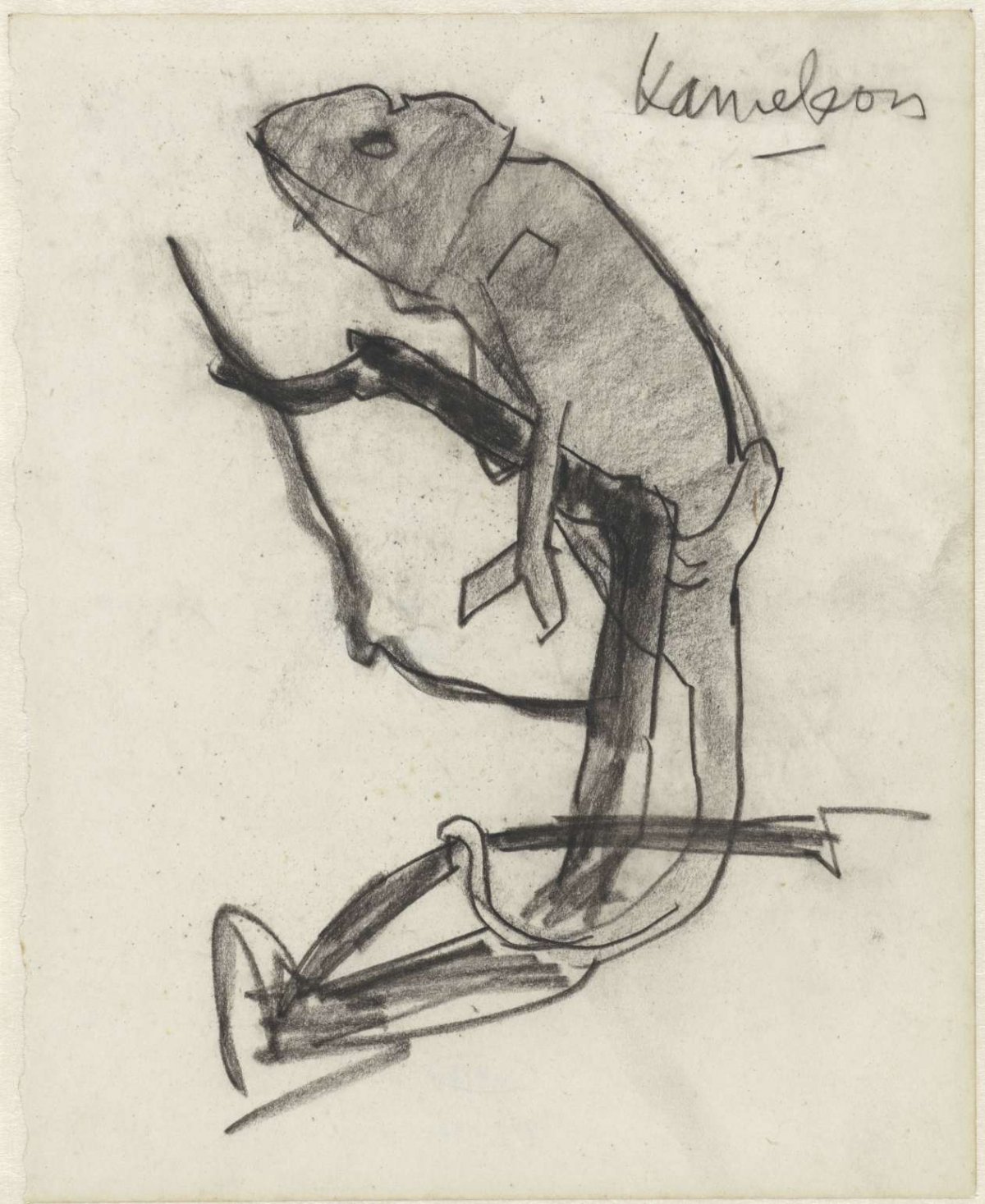 Kameleon, Theo Nieuwenhuis, 1876 - 1951