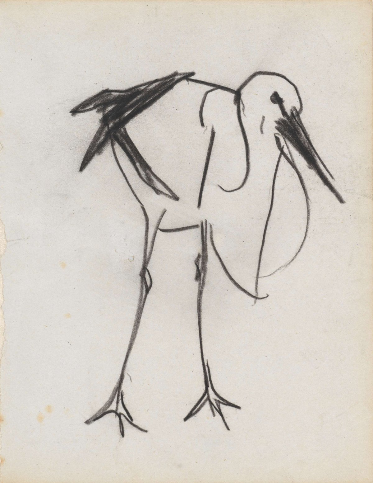 Hollandse ooievaar, Theo Nieuwenhuis, 1876 - 1951