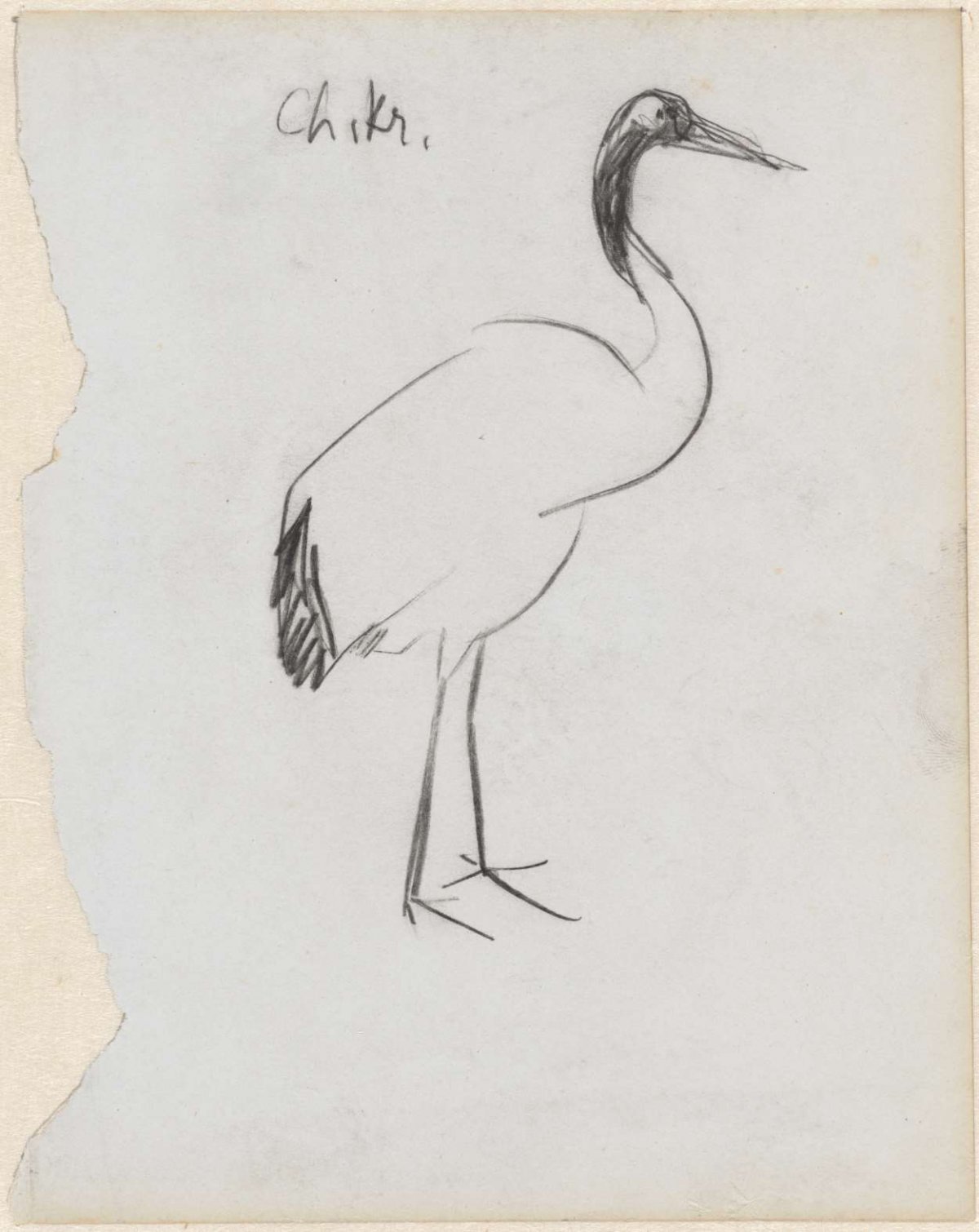 Chinese kraanvogel, Theo Nieuwenhuis, 1876 - 1951