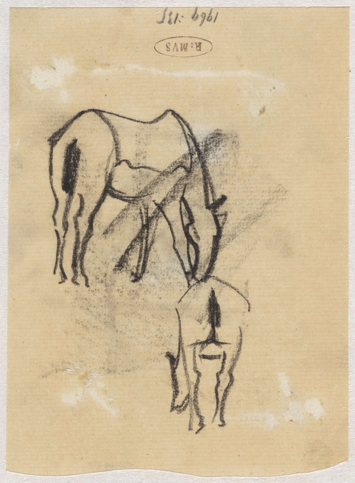Sketches of a horse, Theo Nieuwenhuis, 1876 - 1951