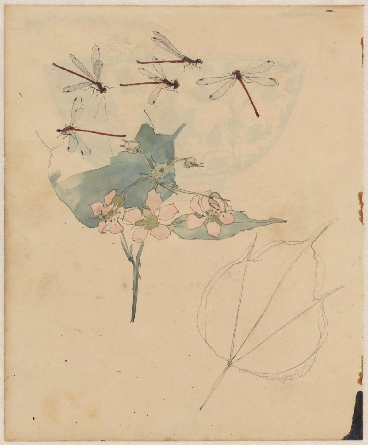 Libellen boven bloesem, Theo Nieuwenhuis, 1876 - 1951