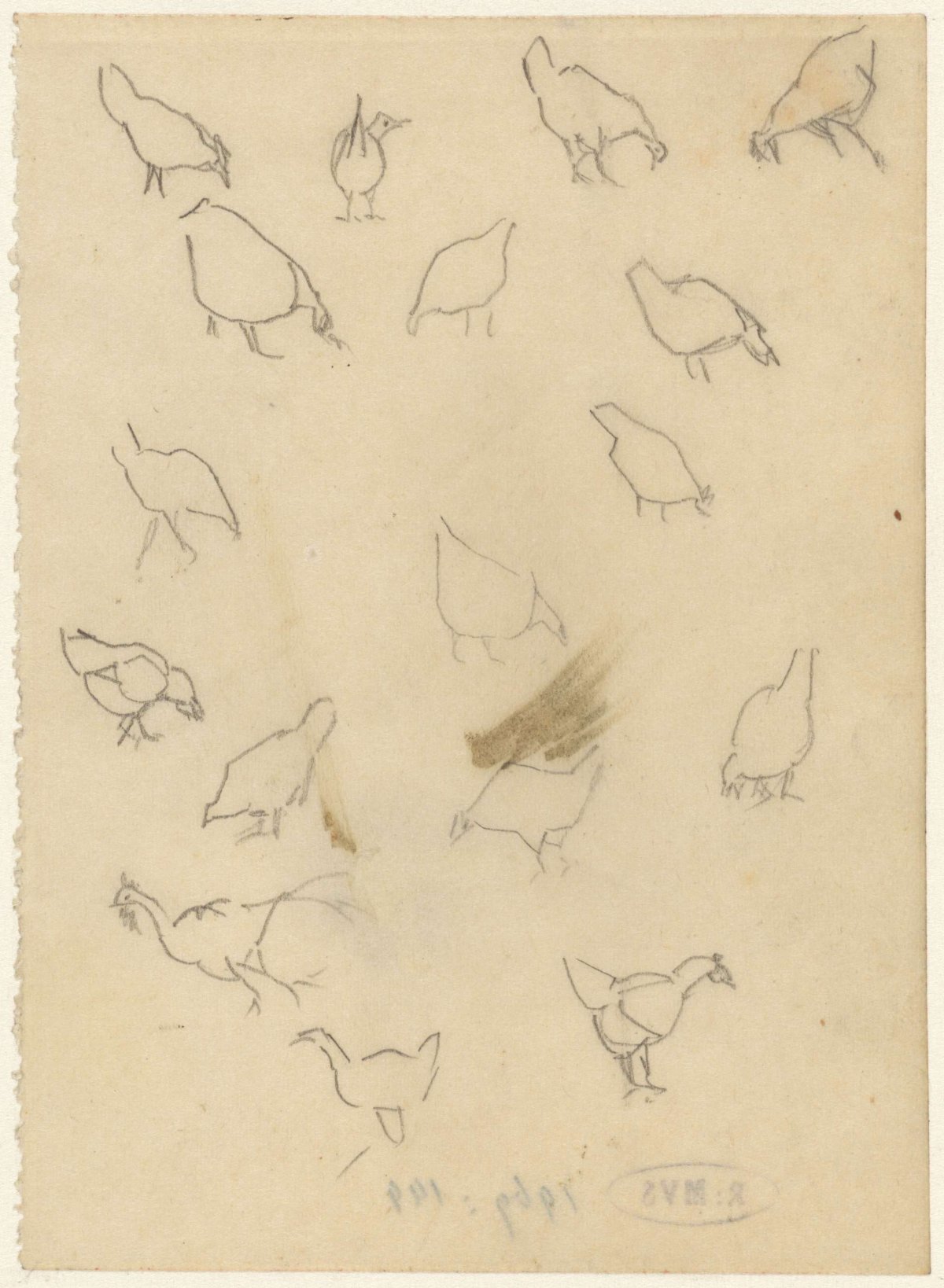Kippen, Theo Nieuwenhuis, 1876 - 1951
