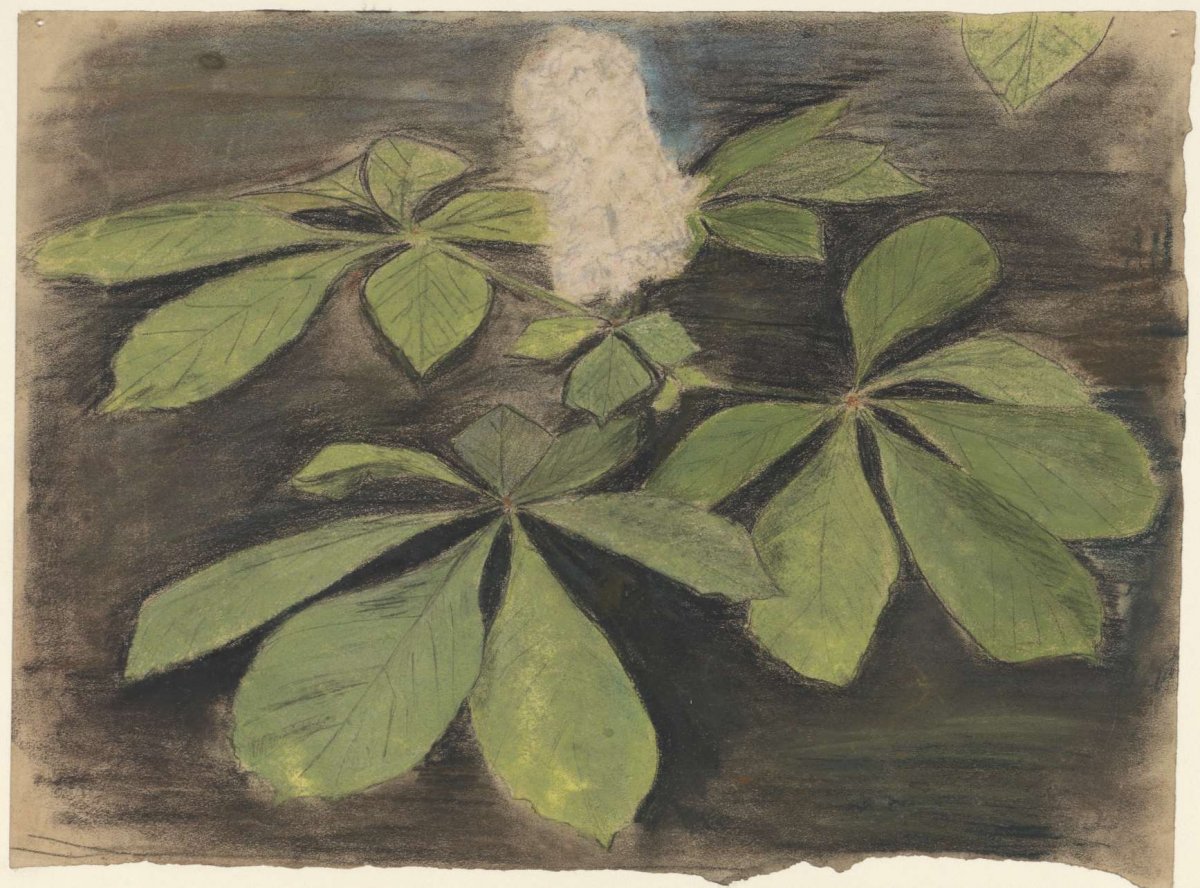Kastanjebladeren, Theo Nieuwenhuis, 1876 - 1951