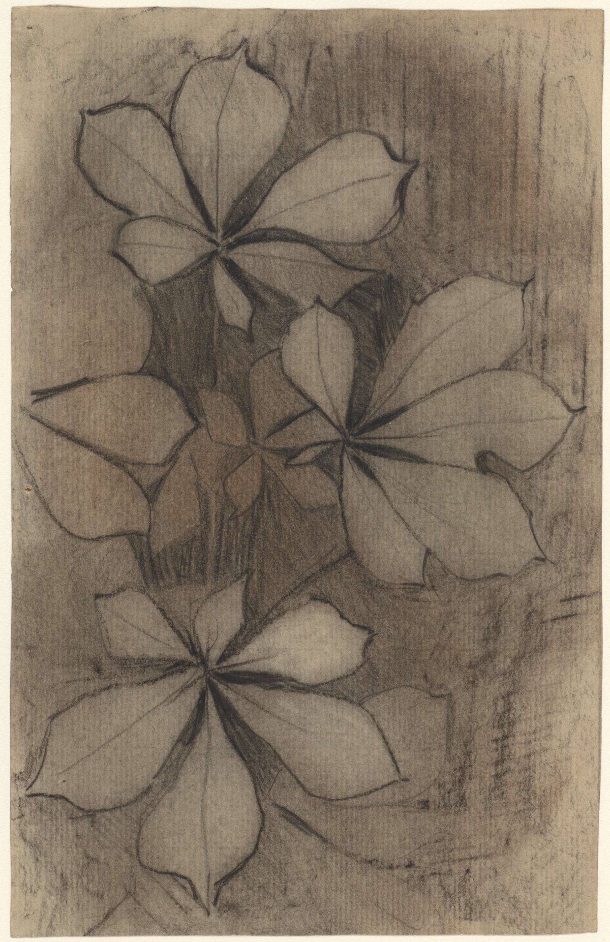 Kastanjebladeren, Theo Nieuwenhuis, 1876 - 1951