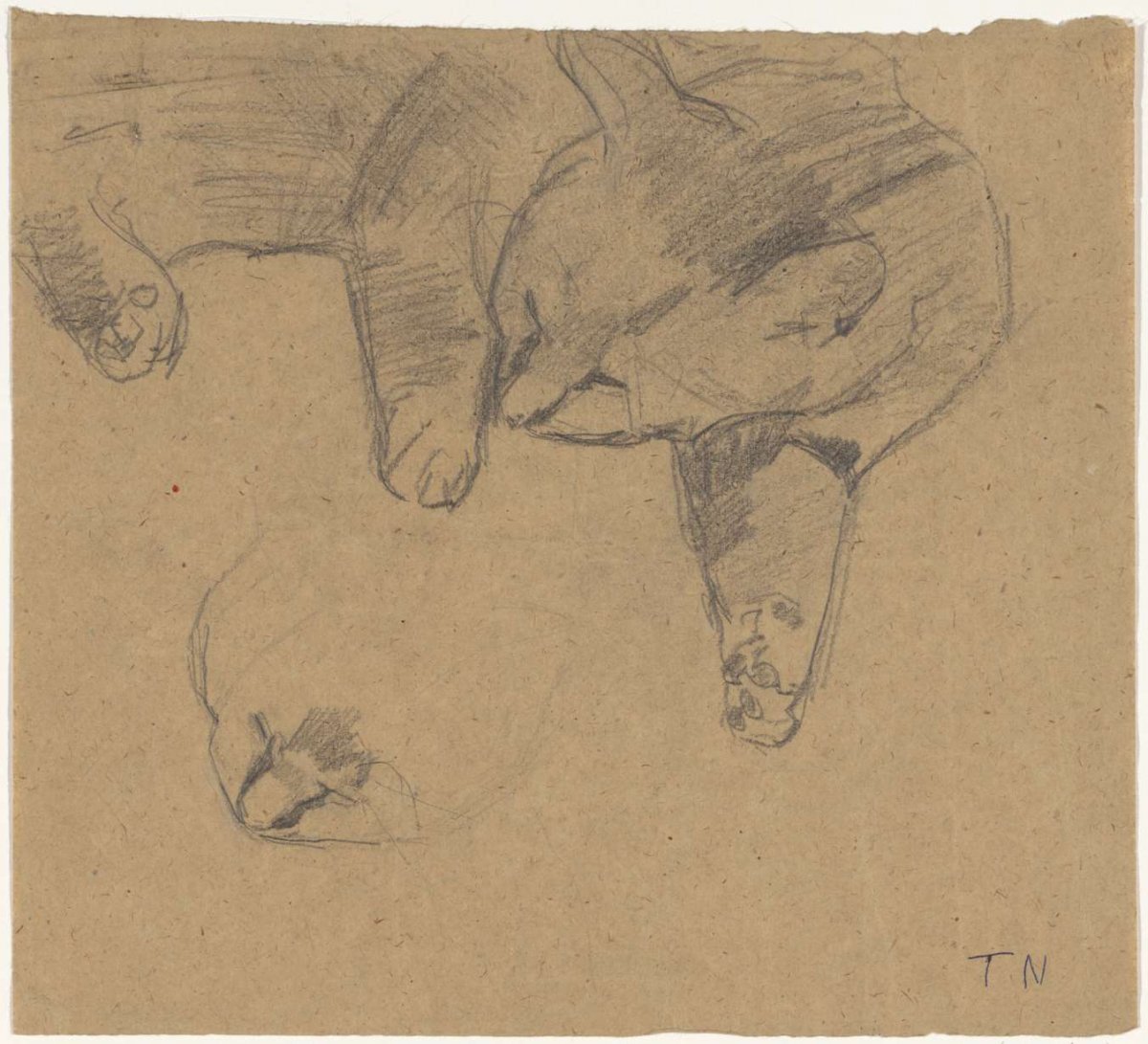 Studies of a reclining cat, Theo Nieuwenhuis, 1876 - 1951