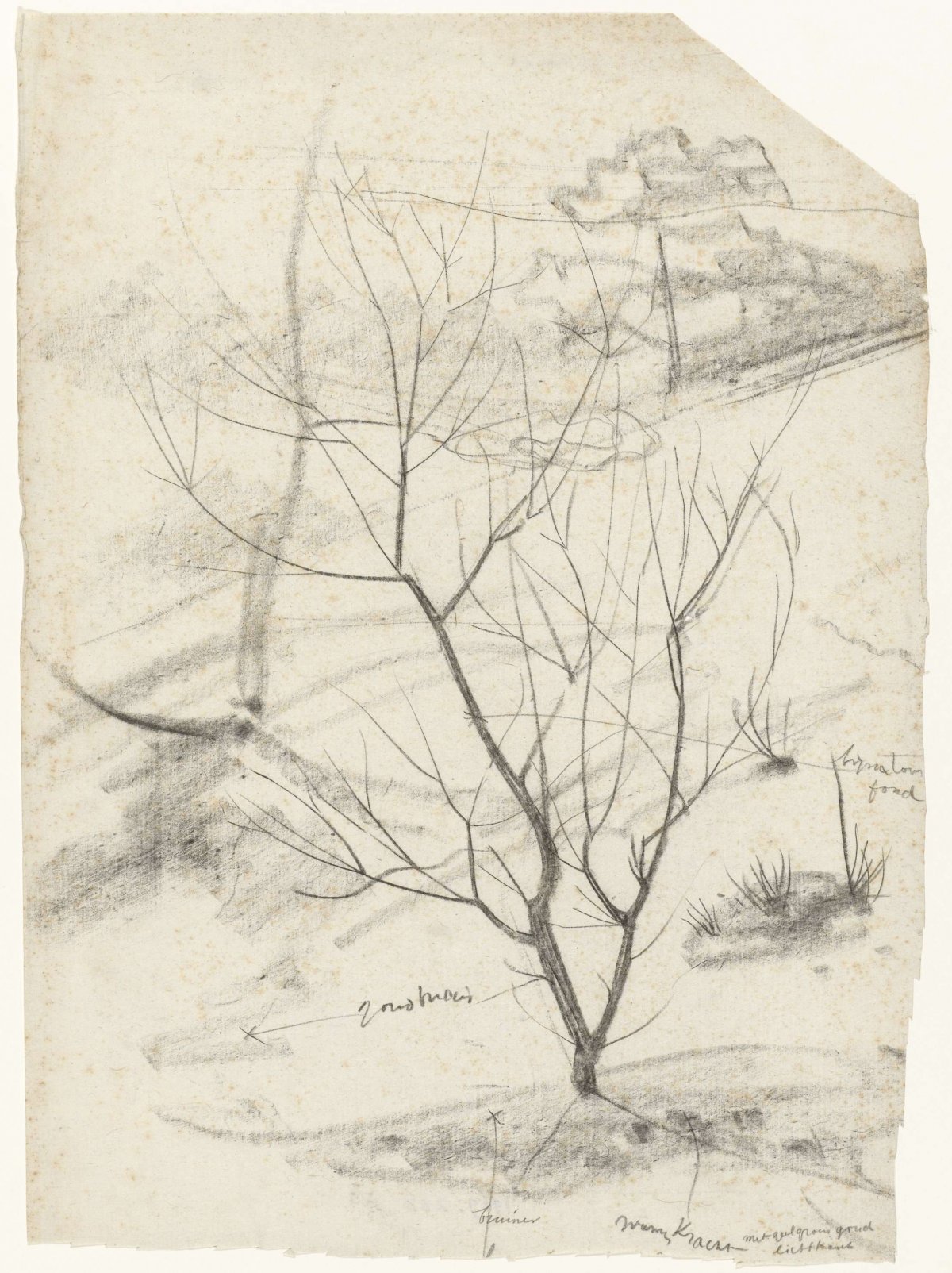 Bare tree on a slope, Gerrit Willem Dijsselhof, 1876 - 1924