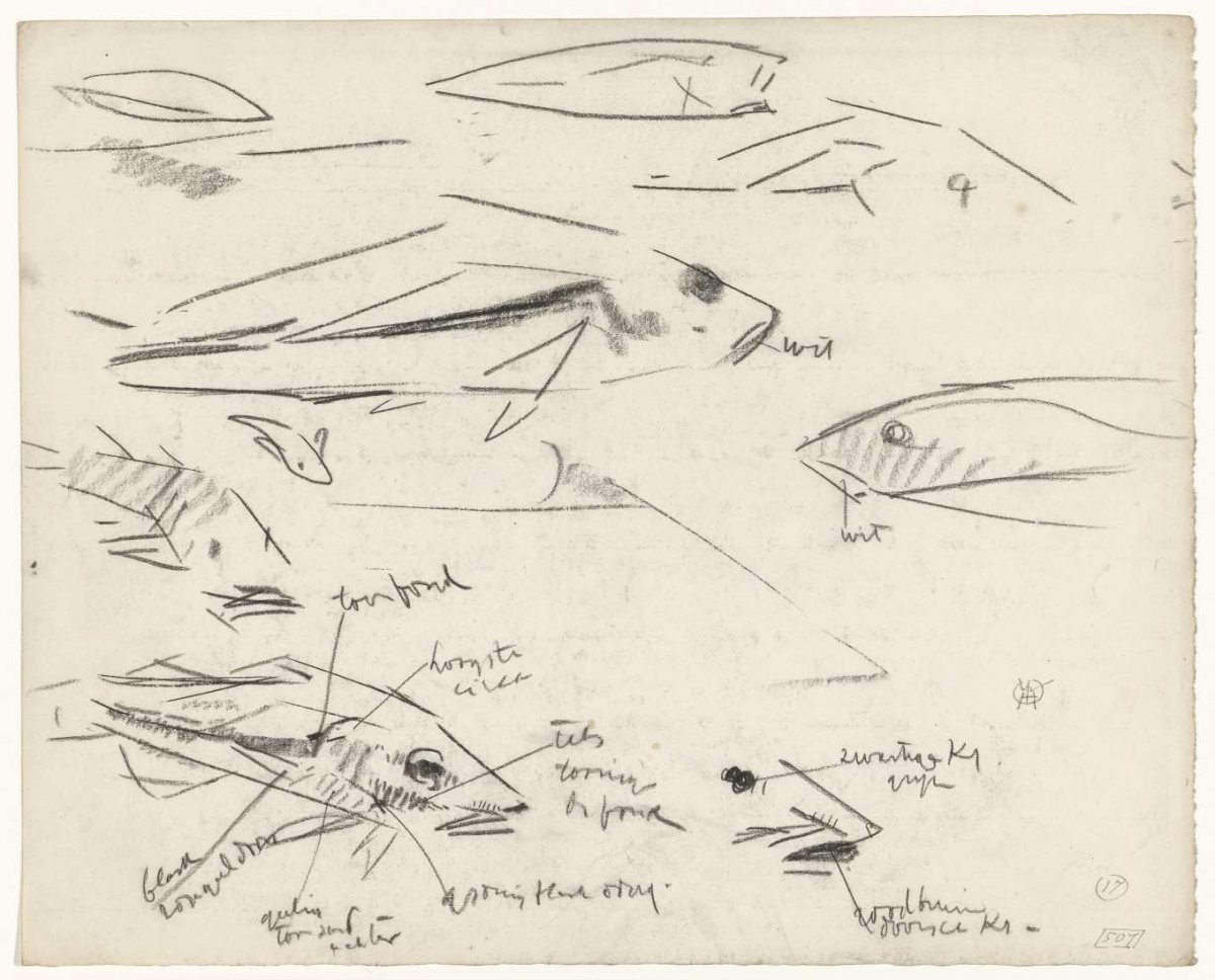Studies of fish, Gerrit Willem Dijsselhof, 1876 - 1924
