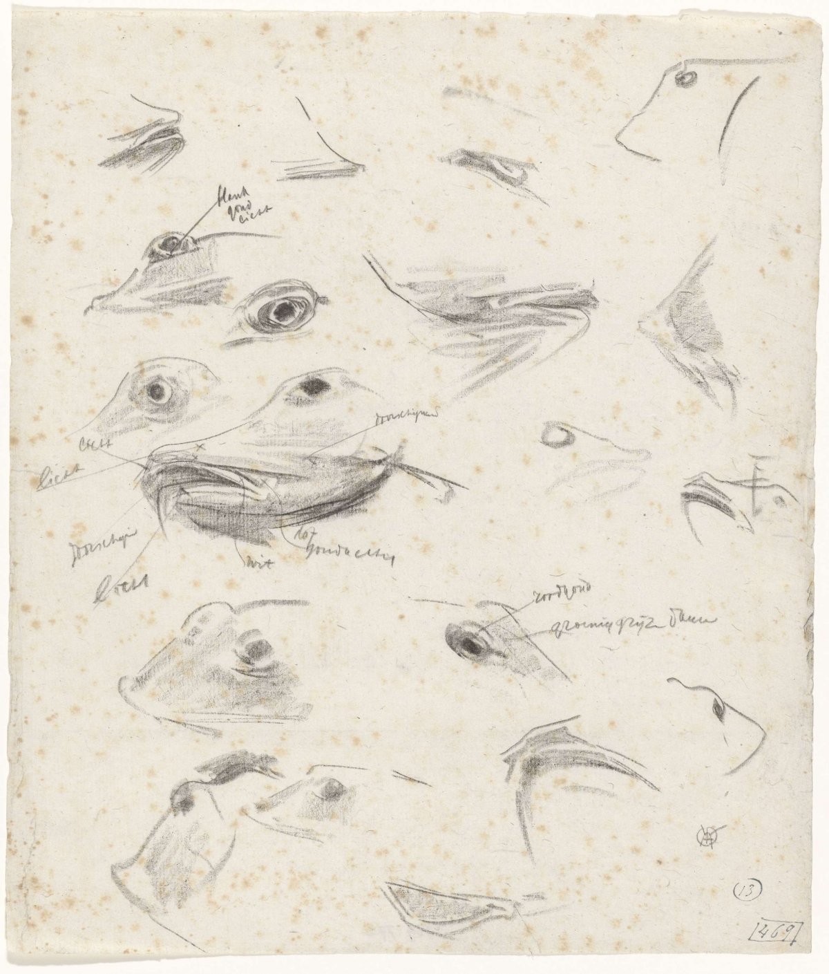 Studies of heads of pons, Gerrit Willem Dijsselhof, 1876 - 1924