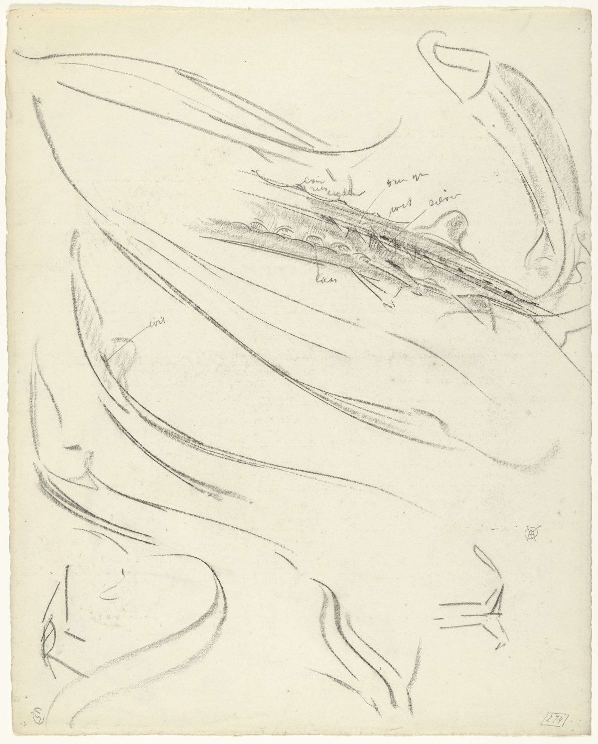 Studies of a sterlet, with color notes, Gerrit Willem Dijsselhof, 1876 - 1924