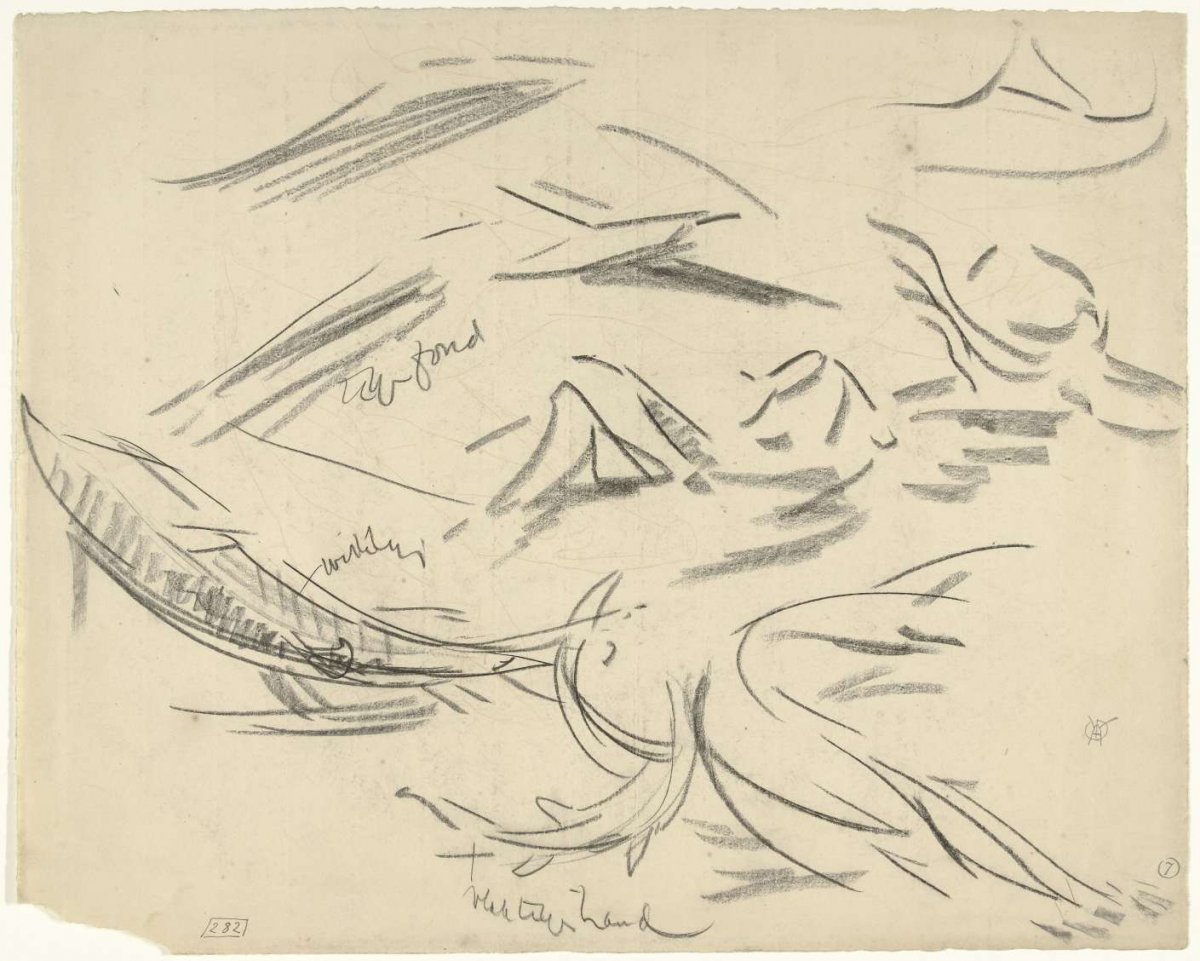 Detail and movement studies of a sterlet, Gerrit Willem Dijsselhof, 1876 - 1924