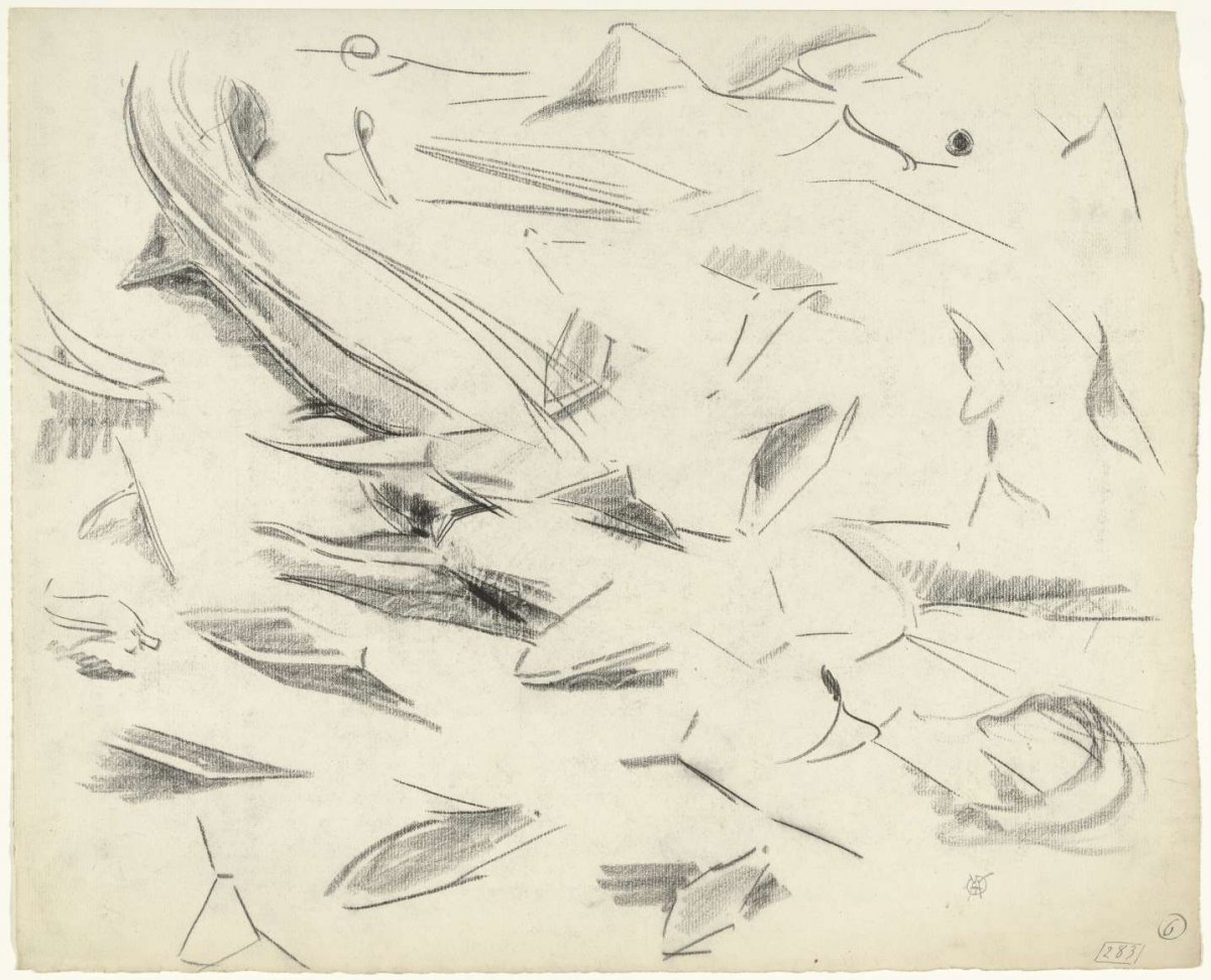 Studies of fins, Gerrit Willem Dijsselhof, 1876 - 1924
