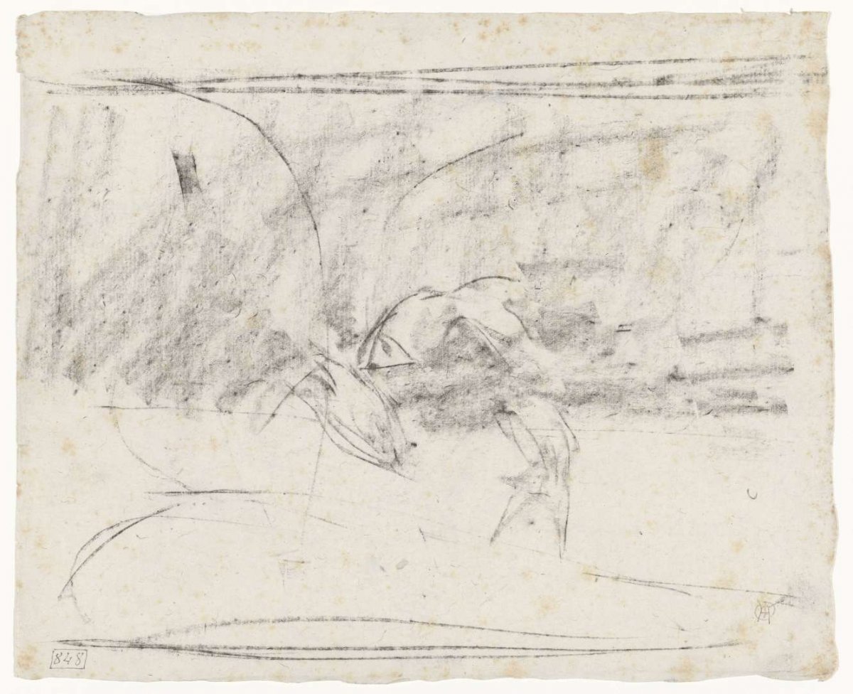 Sketch of fish in an aquarium, Gerrit Willem Dijsselhof, 1876 - 1924