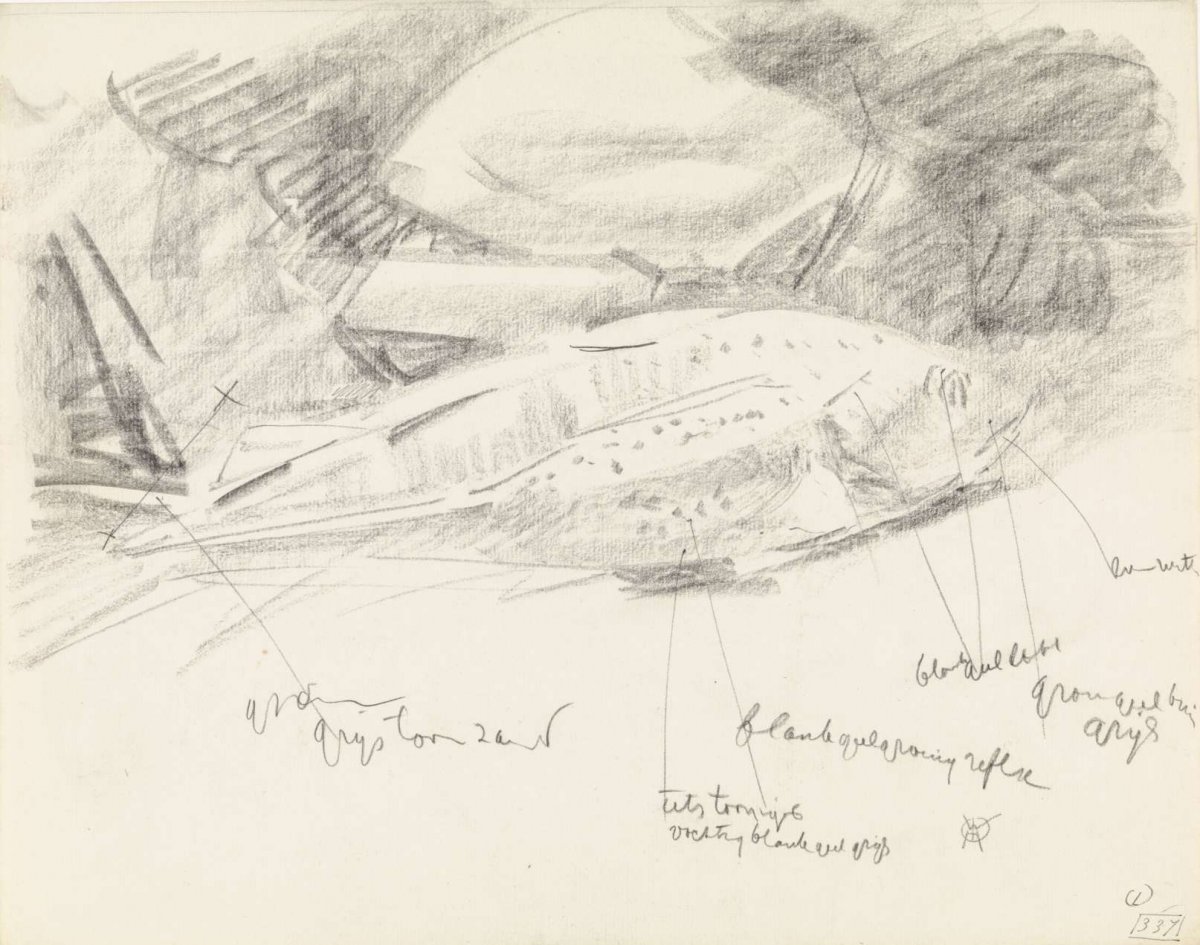 Studies of a fish, with color notes, Gerrit Willem Dijsselhof, 1876 - 1924