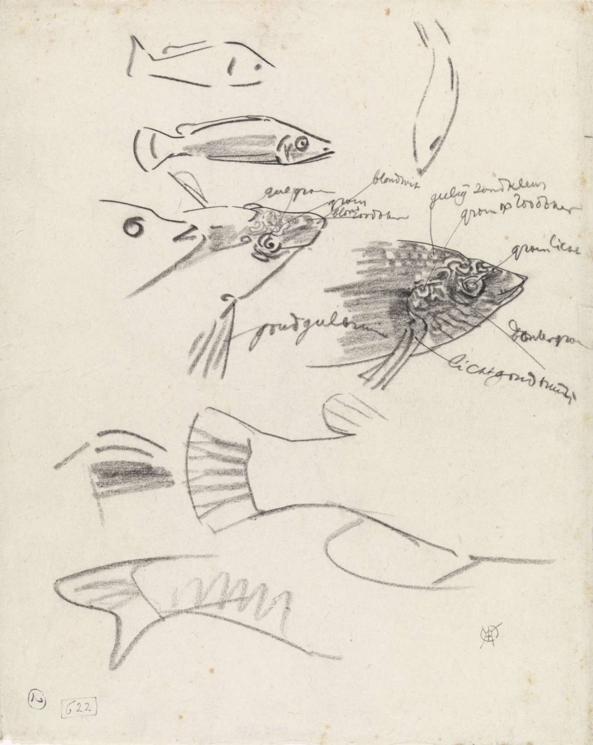 Detailed studies of fish, with color notes, Gerrit Willem Dijsselhof, 1876 - 1924