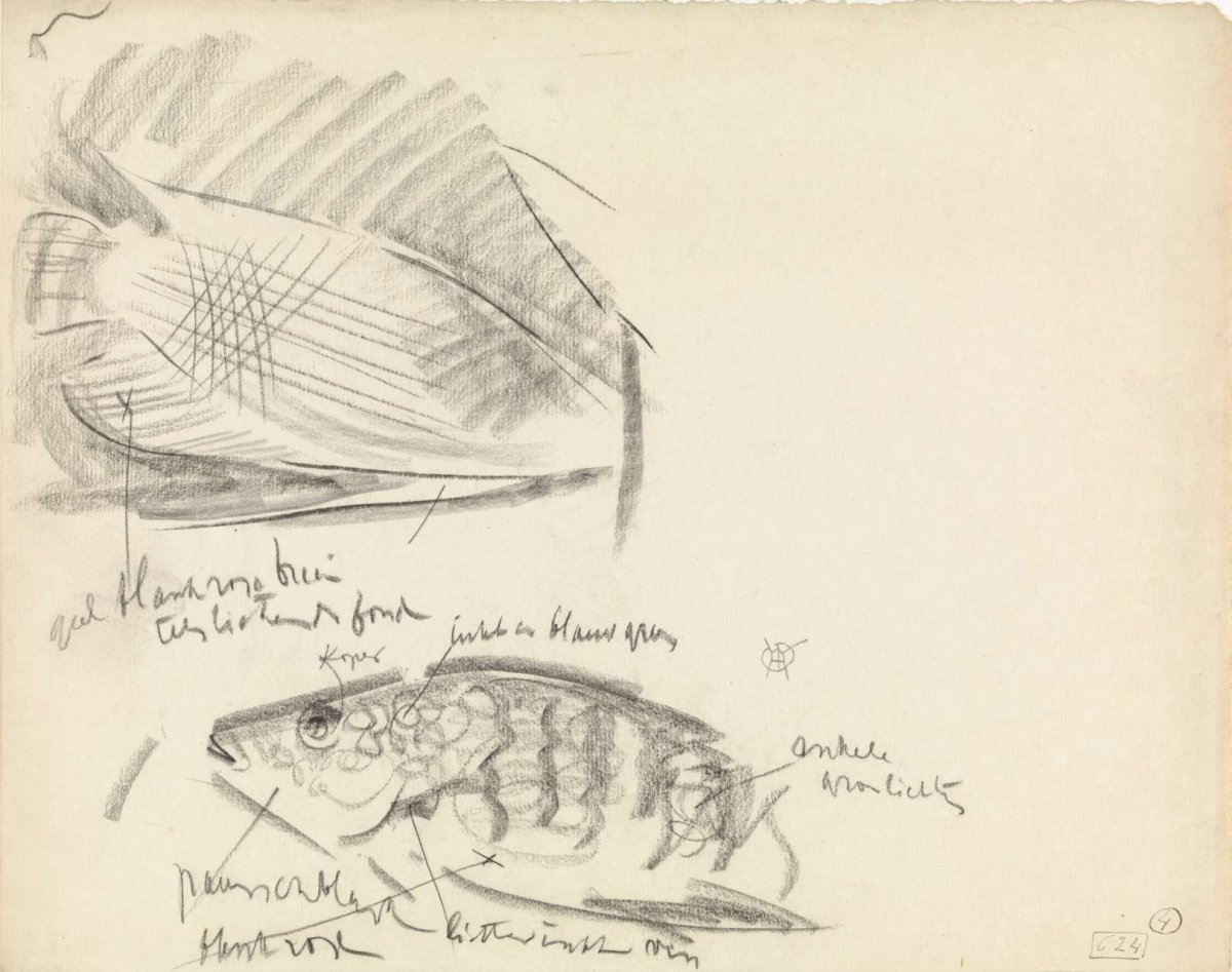 Two fish including a Gurami, with color notes, Gerrit Willem Dijsselhof, 1876 - 1924