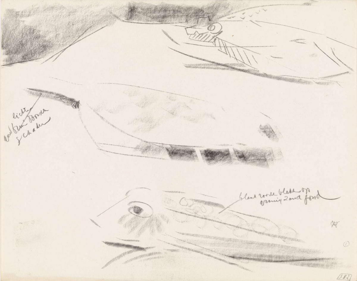 Studies of a gurnard and two plaice, with color notes, Gerrit Willem Dijsselhof, 1876 - 1924