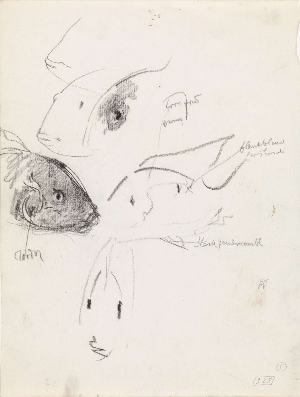 Studies of fish, with color notes, Gerrit Willem Dijsselhof, 1876 - 1924
