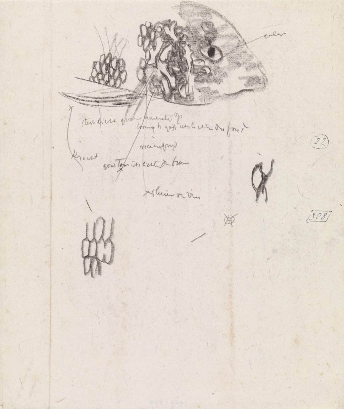 Study of the head and scales of a fish, with color notes, Gerrit Willem Dijsselhof, 1876 - 1924