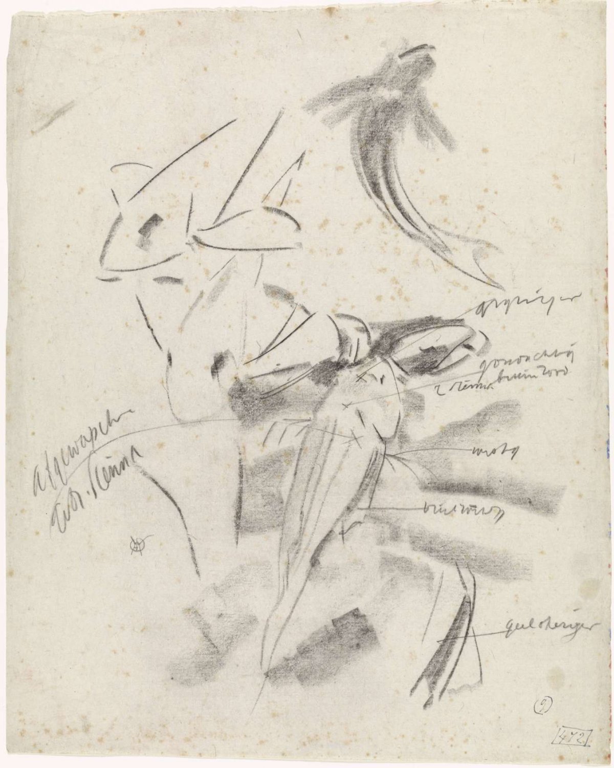 Study of a fish and scales, Gerrit Willem Dijsselhof, 1876 - 1924
