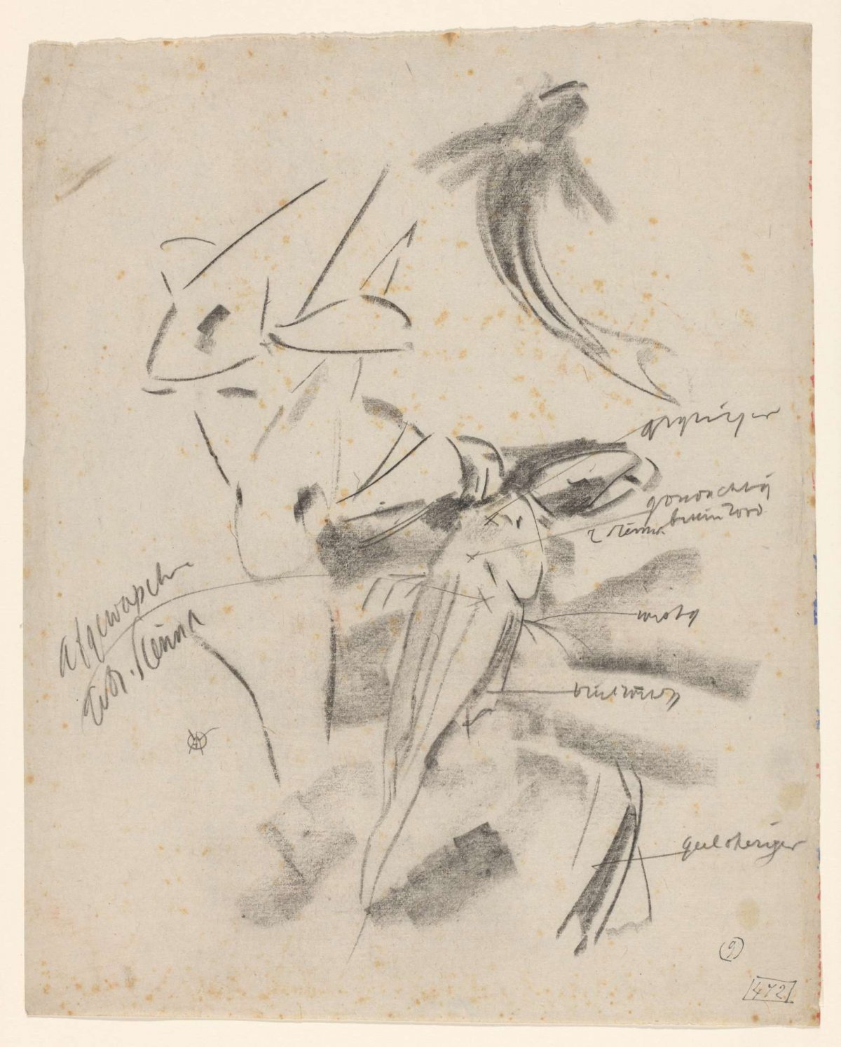Studies of a gurnard, with color notes, Gerrit Willem Dijsselhof, 1876 - 1924