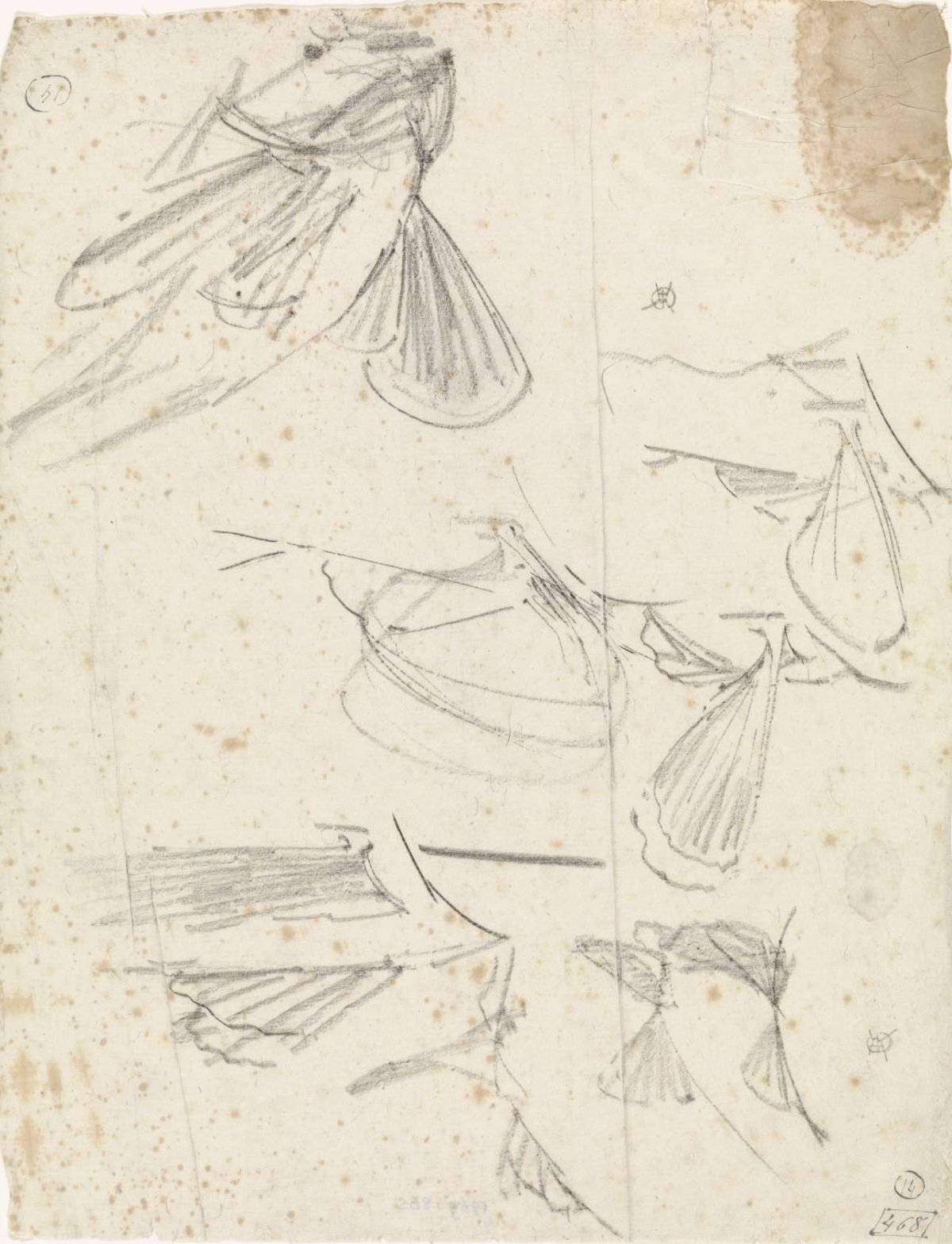 Studies of fins and a gurnard, Gerrit Willem Dijsselhof, 1876 - 1924