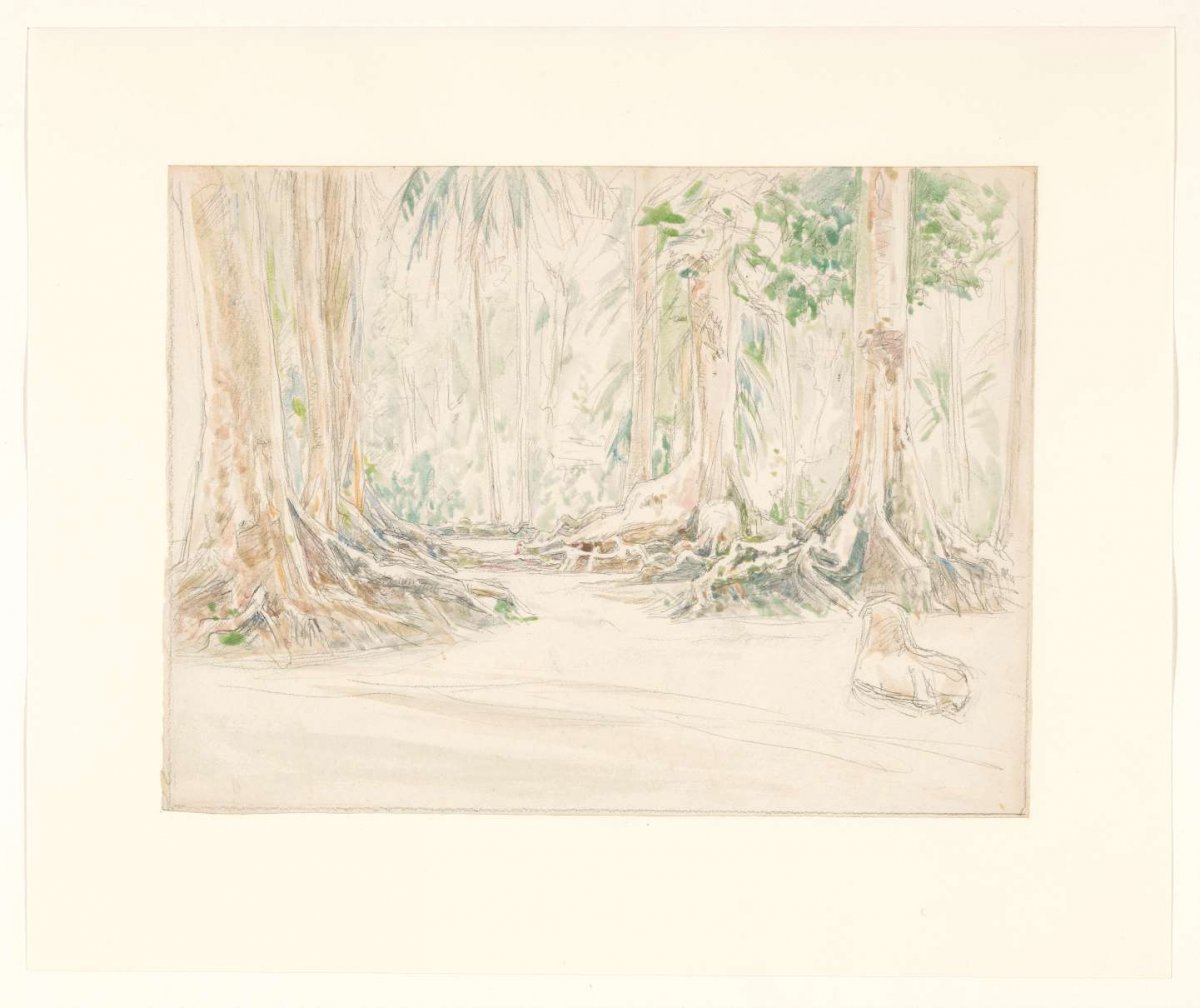 View among trees in a forest in the Dutch East Indies, Jan Veth, 1921 - 1922