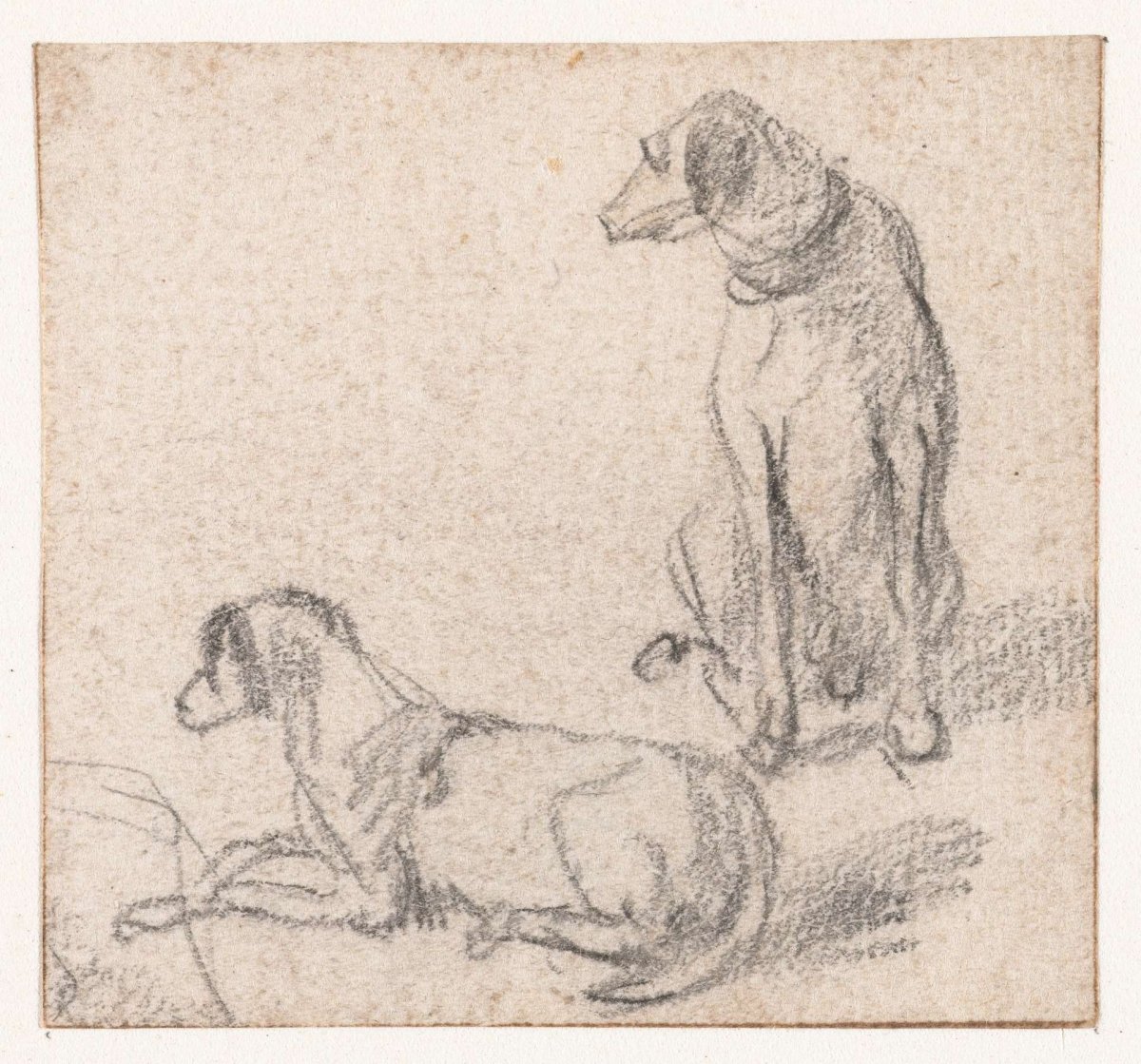Sitting and a reclining dog, Hendrik Verschuring, 1637 - 1690