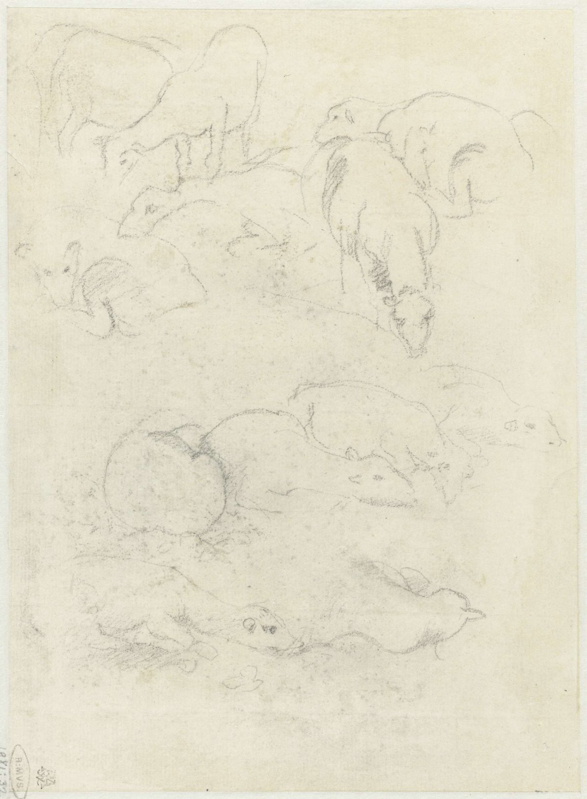 Groups of grazing and reclining sheep, Federico Barocci, 1545 - 1595
