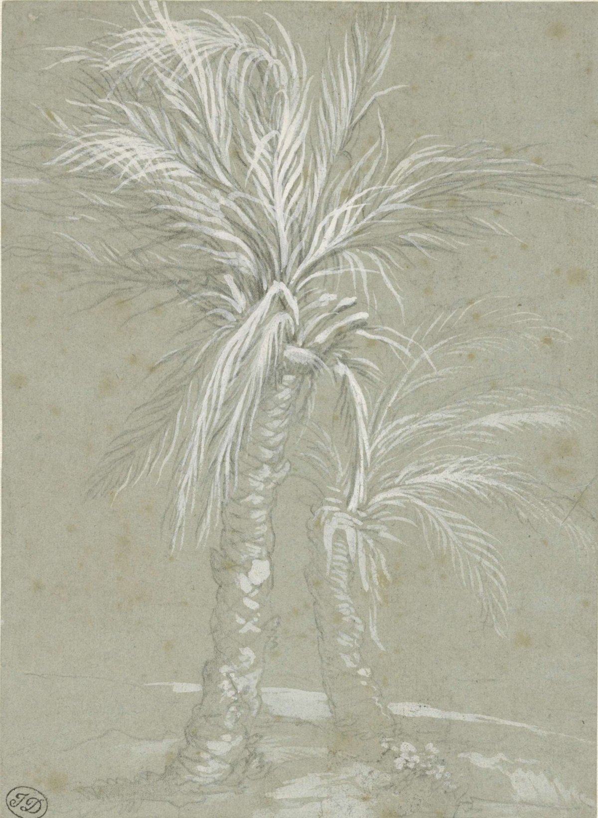Two Palm Trees, Mattia Preti, 1661 - 1666
