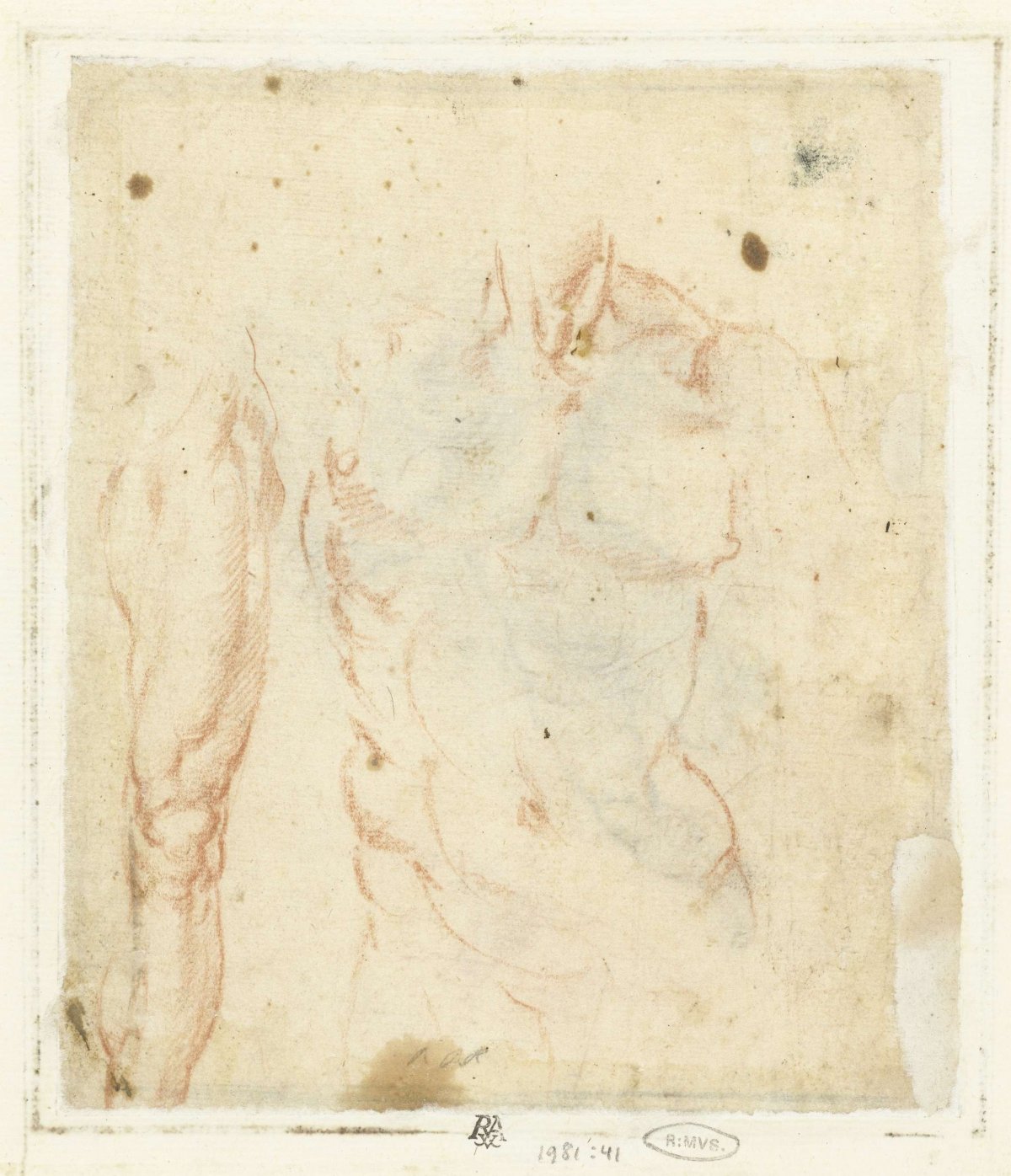 Male torso and leg, Bernardino Poccetti, 1558 - 1612