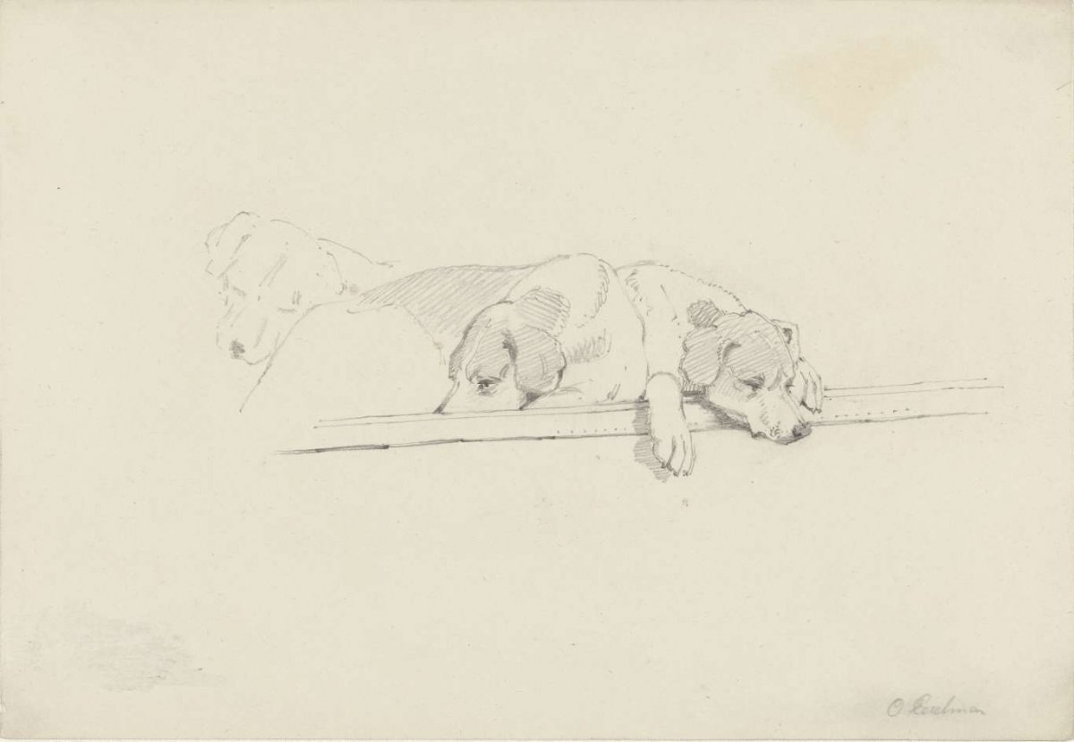 Sketch of three sleeping dogs, Otto Eerelman, 1849 - 1926