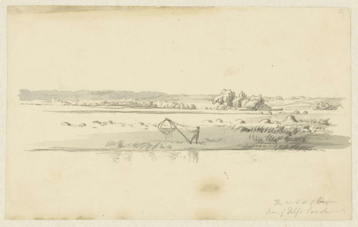 View of the dunes outside The Hague, Robert Hills, 1811 - 1816