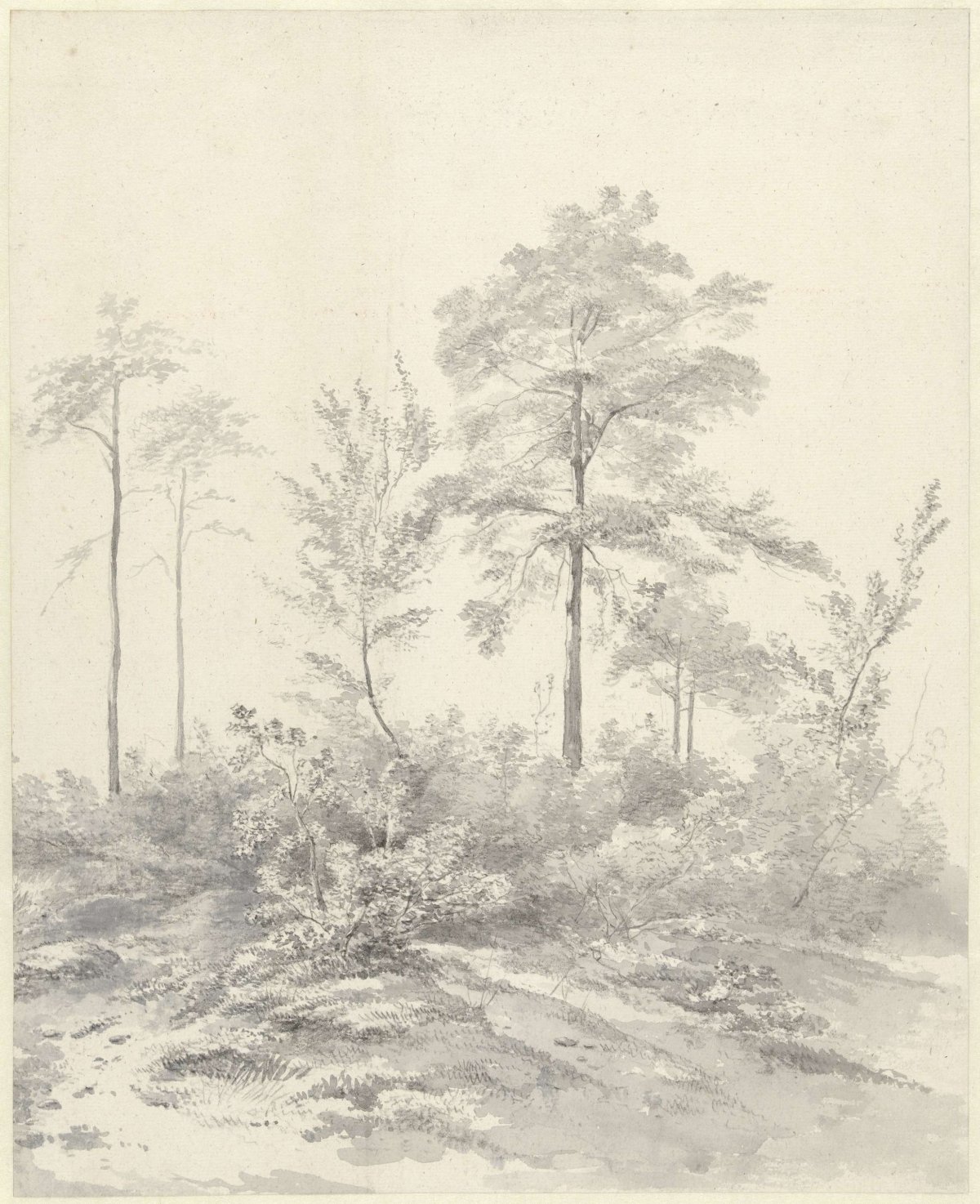 Hoge bomen tussen struiken, Abraham Johannes Ruytenschildt, 1788 - 1841