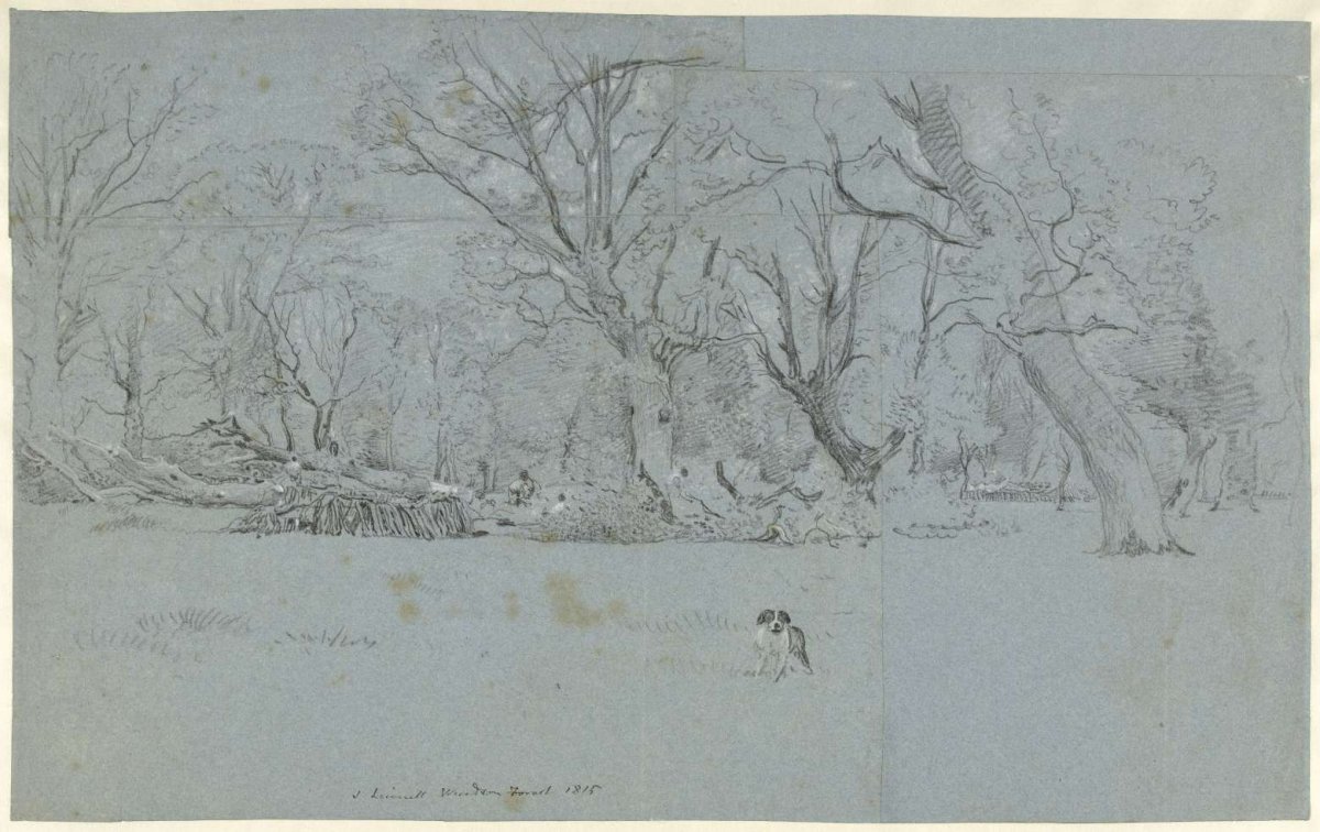 View in the woods at Windsor, John Linnell (II), 1815