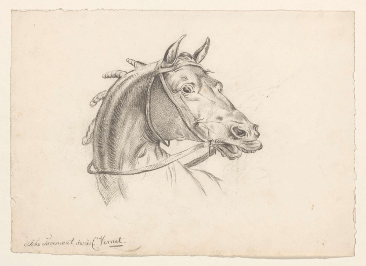 Horse head, to the right, Johannes Tavenraat, 1819 - 1881