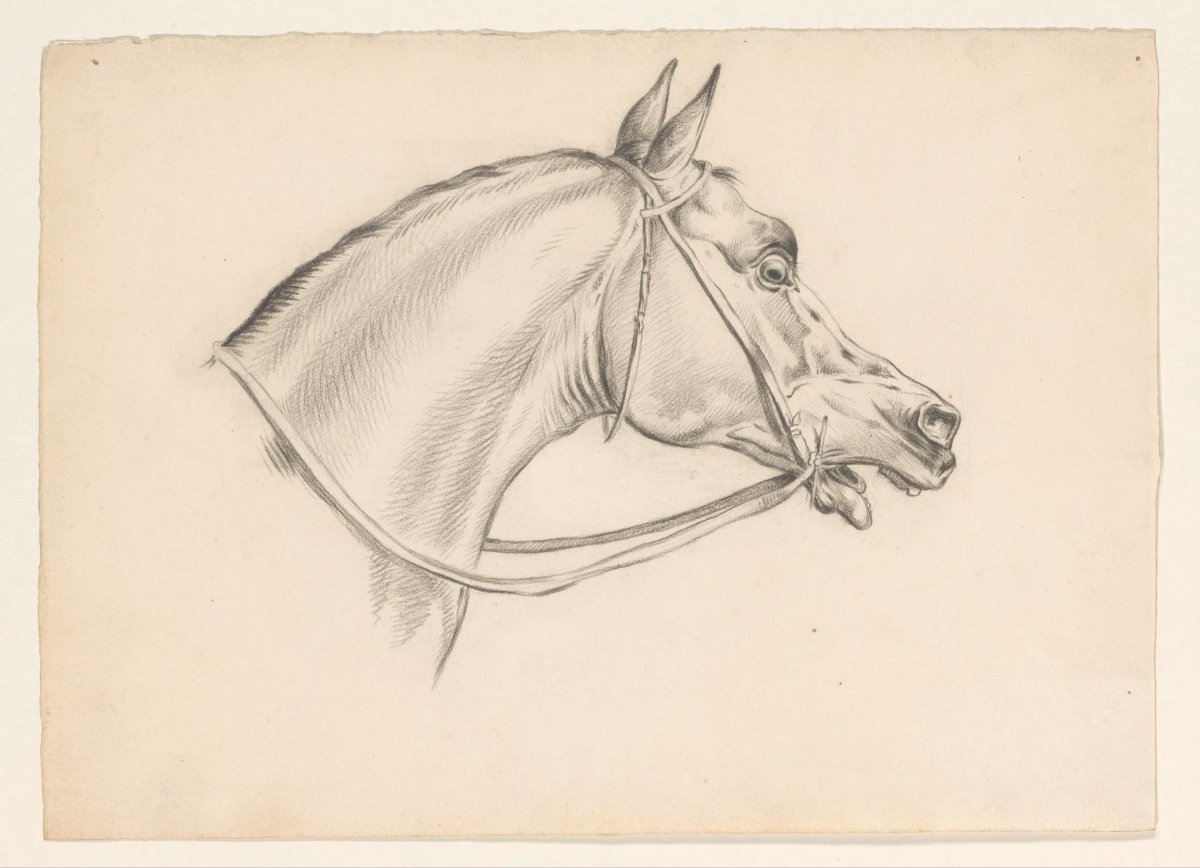 Horse head, to the right, Johannes Tavenraat, 1826