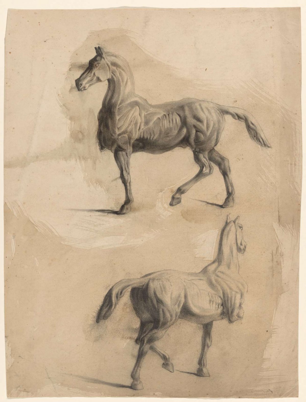 Two anatomy studies of a horse, Johannes Tavenraat, 1819 - 1881