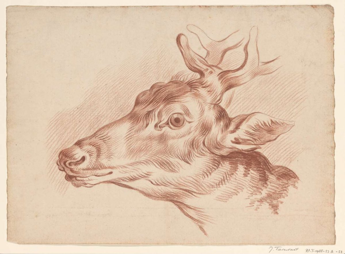 Head of a deer, to the left, Johannes Tavenraat, 1819 - 1881