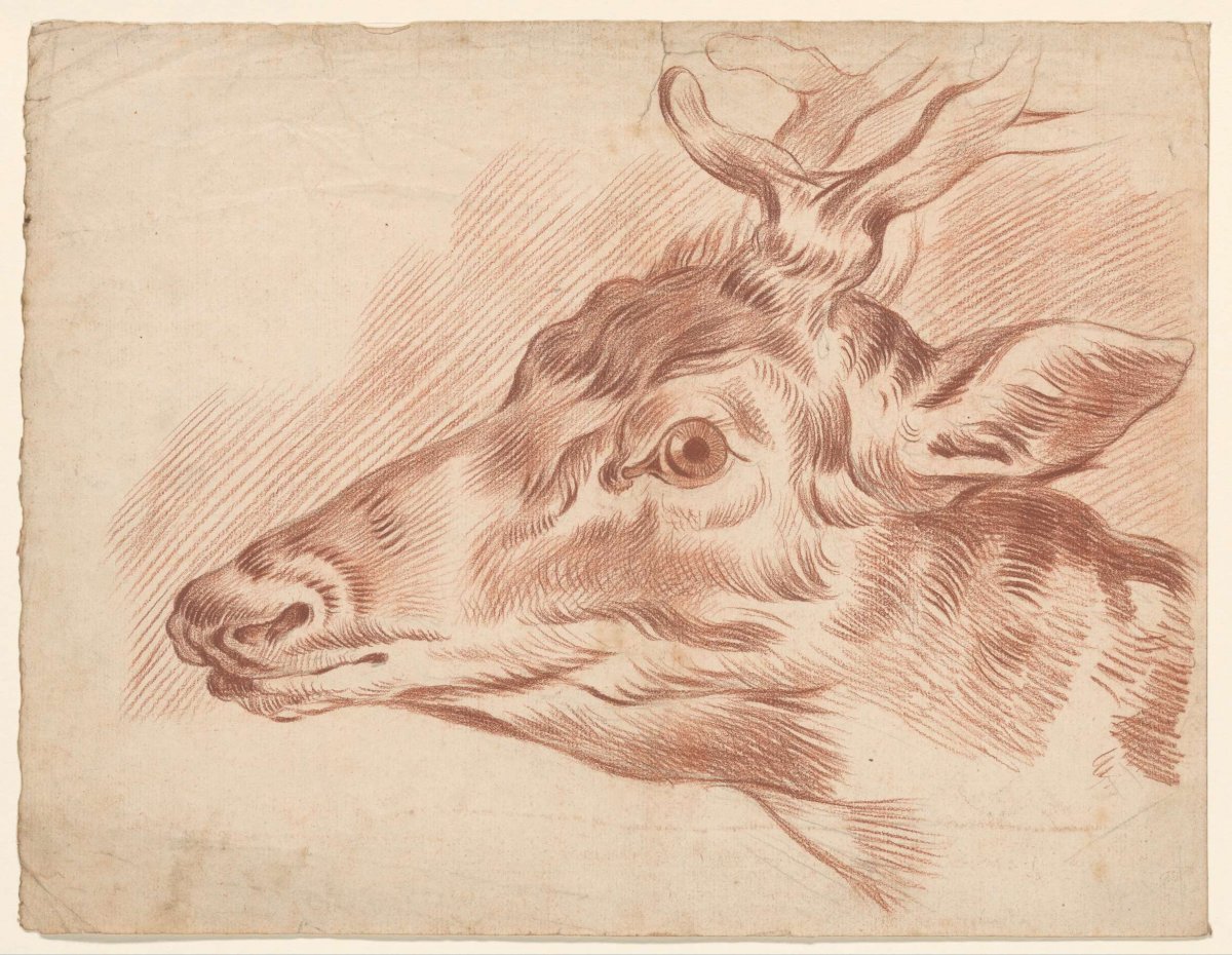 Head of a deer, to the left, Johannes Tavenraat, 1819 - 1881