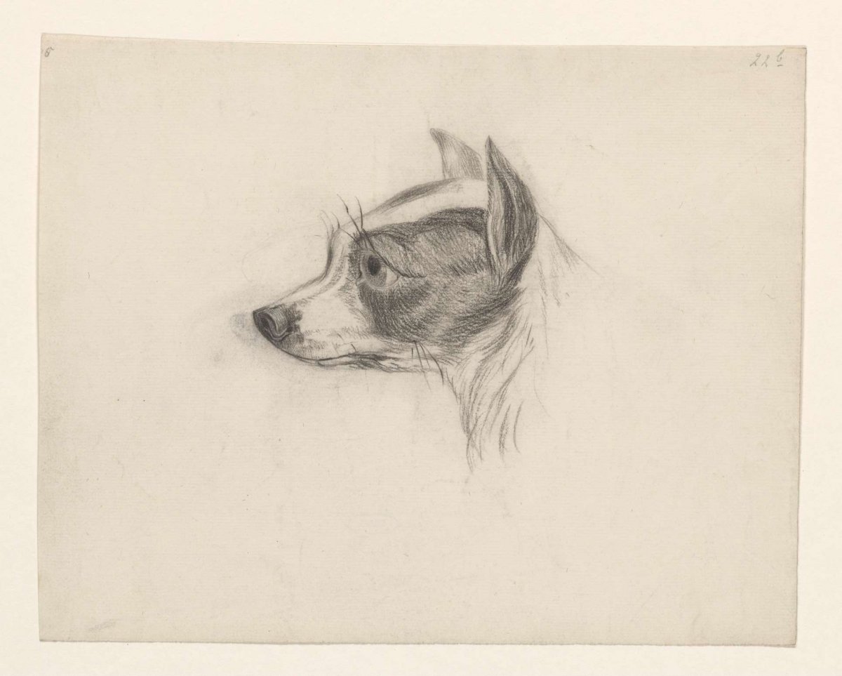 Head of a dog, Johannes Tavenraat, 1819 - 1881