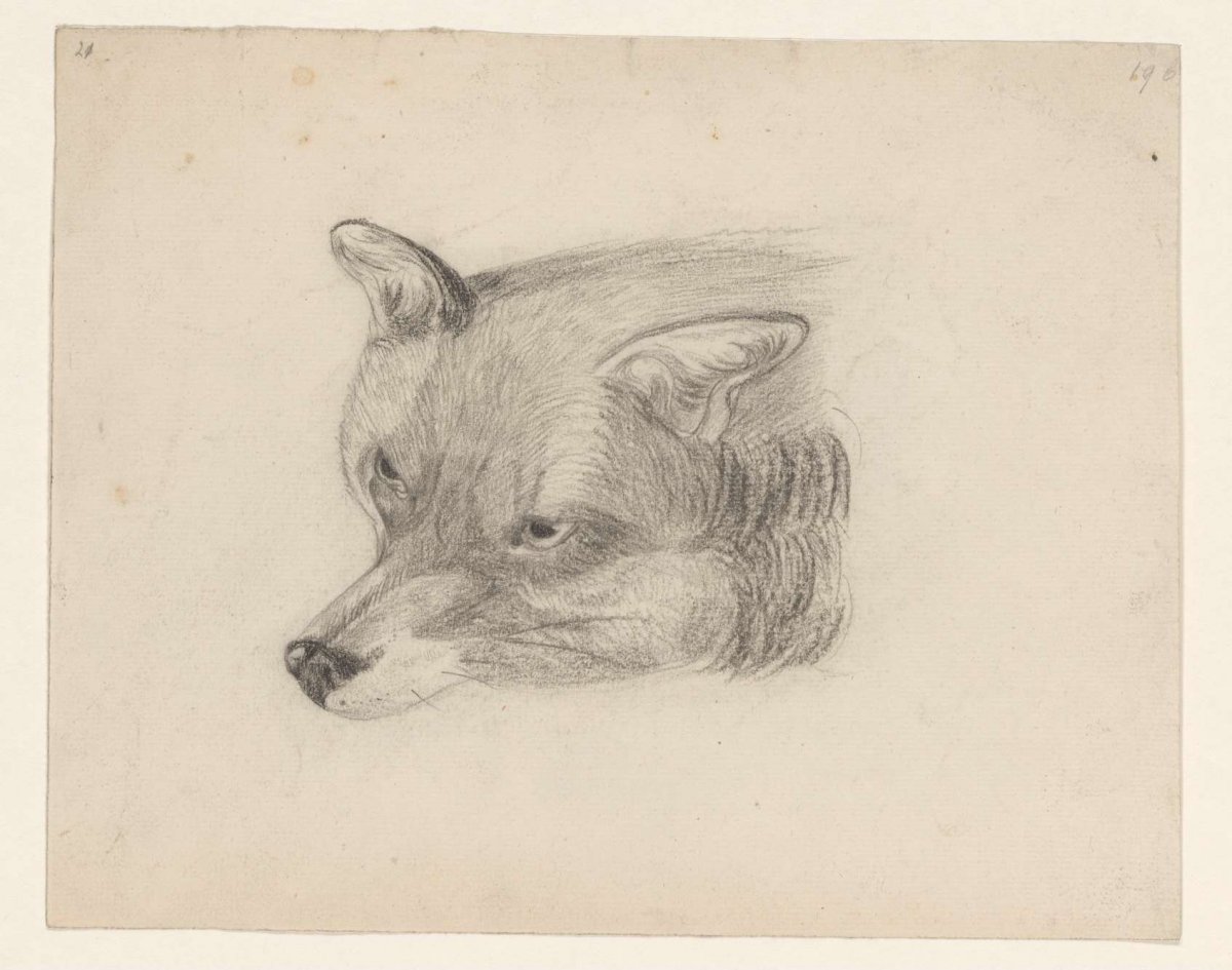 Head of a fox, Johannes Tavenraat, 1819 - 1881