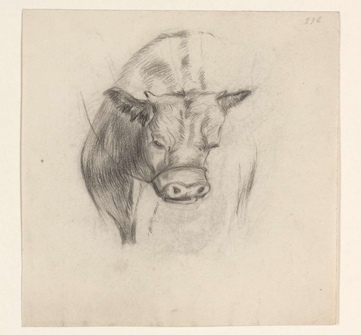 Cow, seen from the front, Johannes Tavenraat, 1819 - 1881