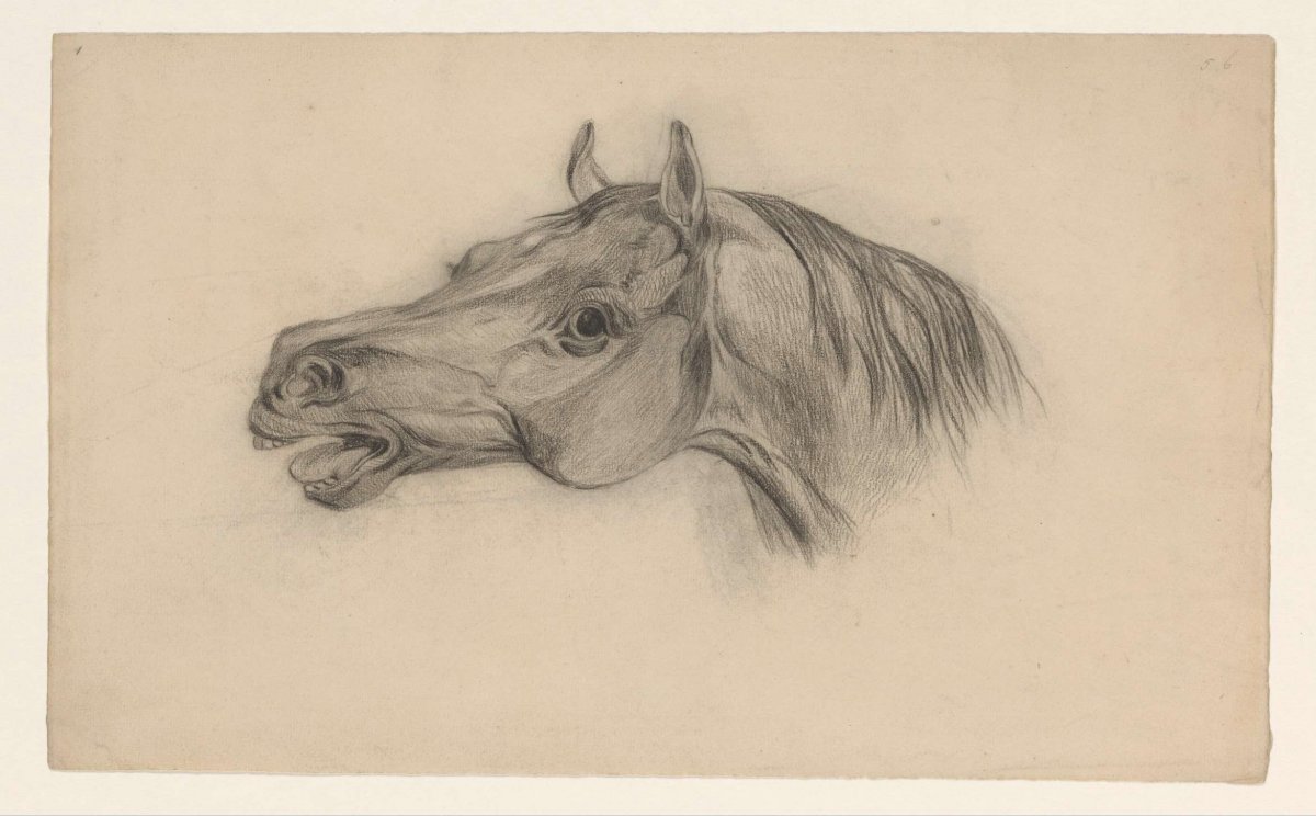 Head of a horse, to the left, Johannes Tavenraat, 1819 - 1881