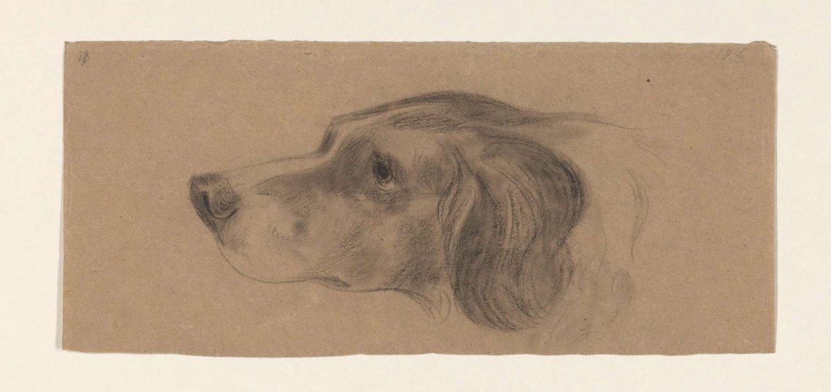 Head of a dog, to the left, Johannes Tavenraat, 1819 - 1881